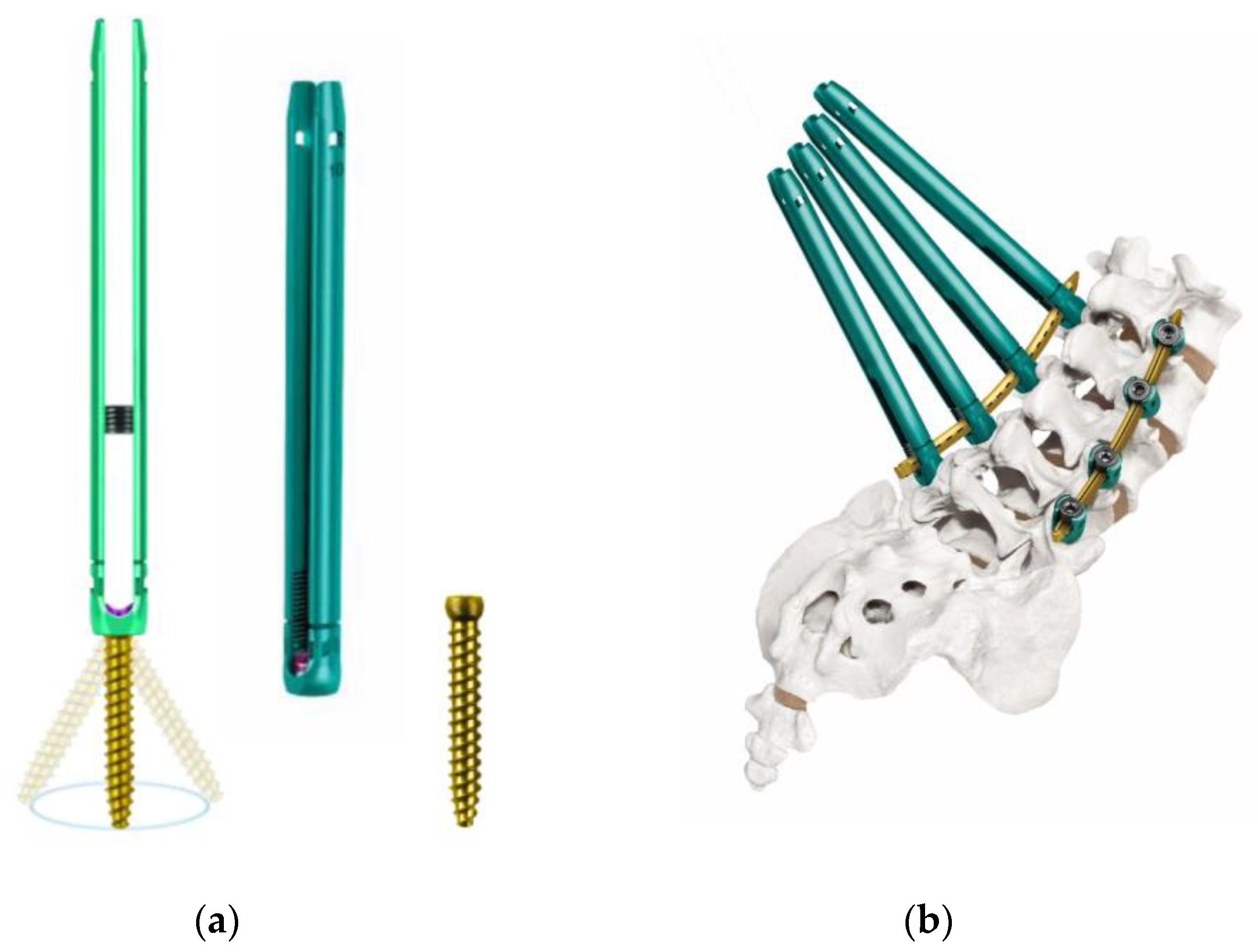 Medicina 58 01064 g004a 550