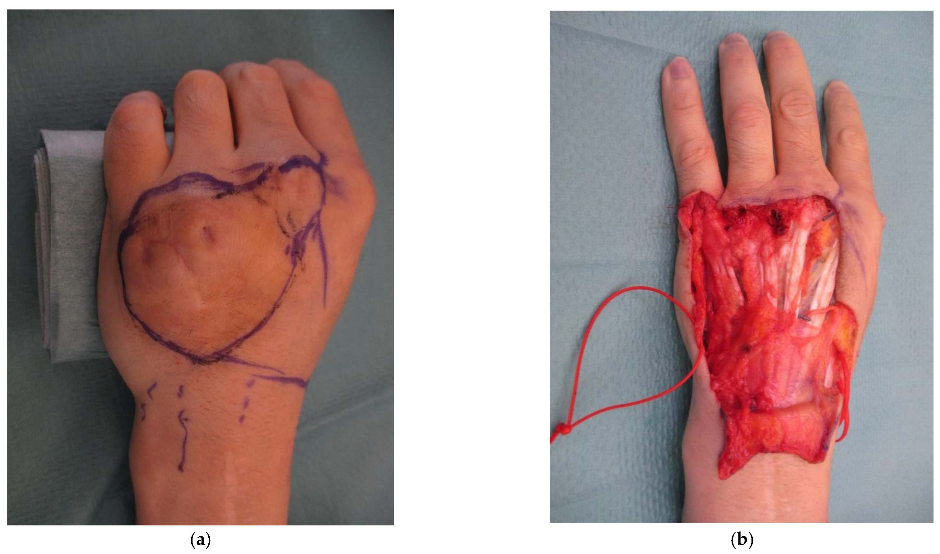 Medicina 58 01065 g002a 550