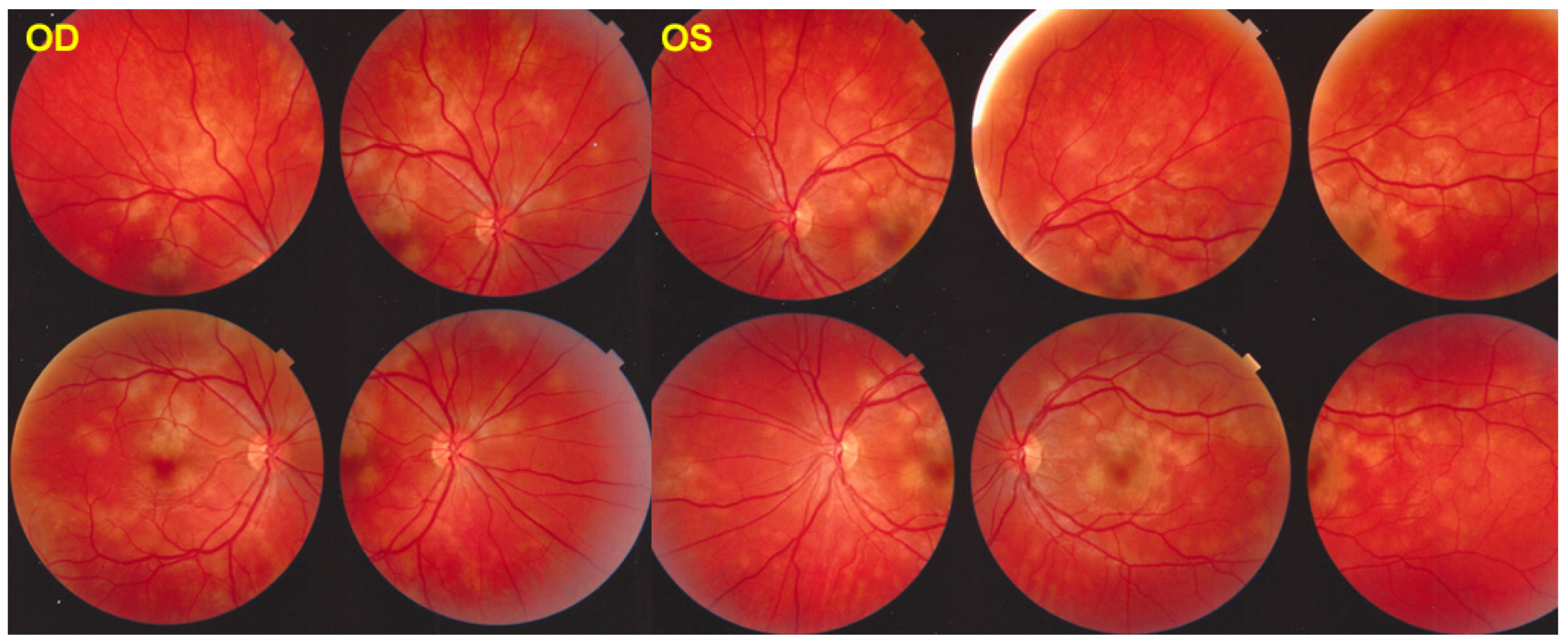 Medicina 58 01070 g003 550