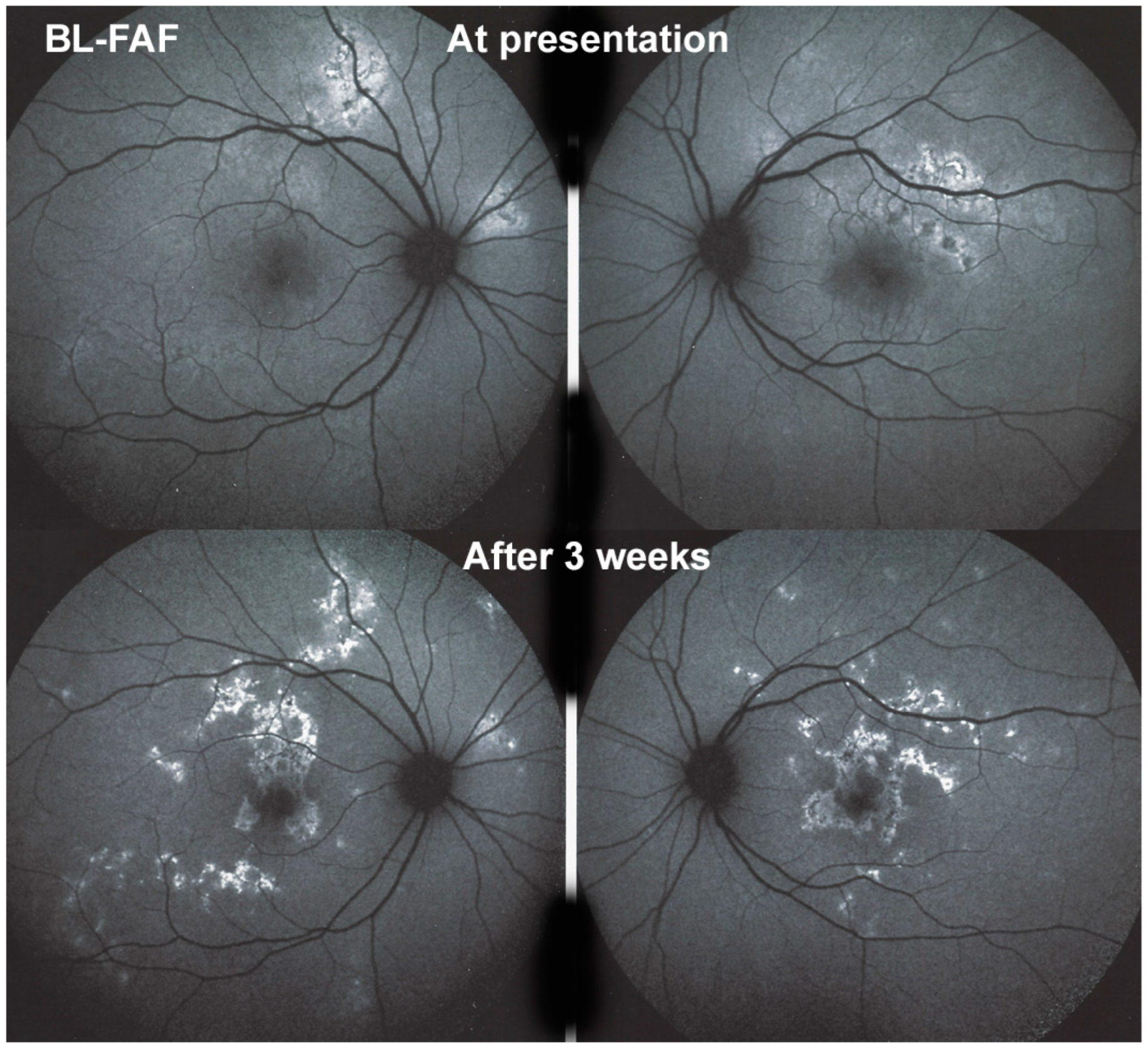 Medicina 58 01070 g006 550