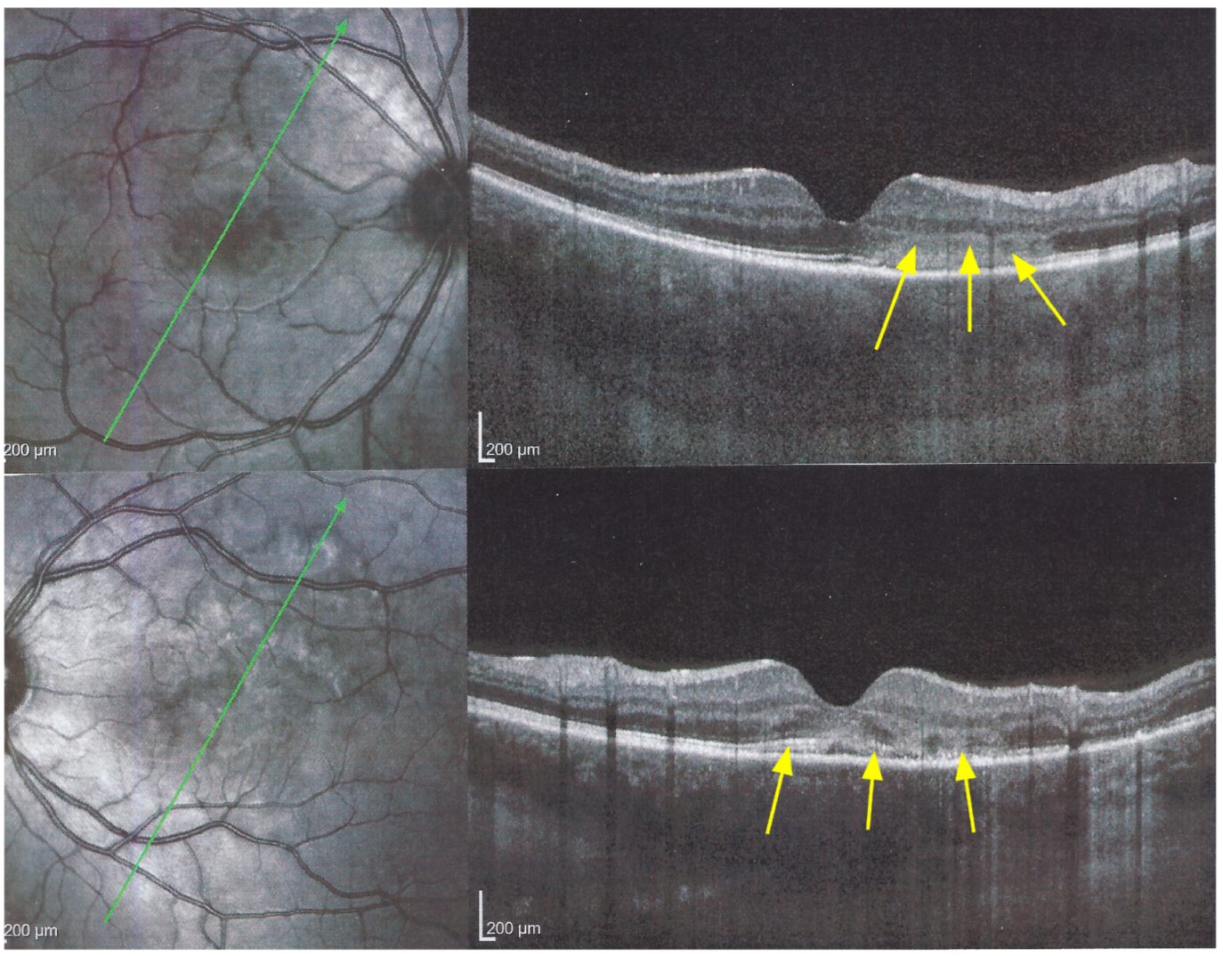 Medicina 58 01070 g008 550