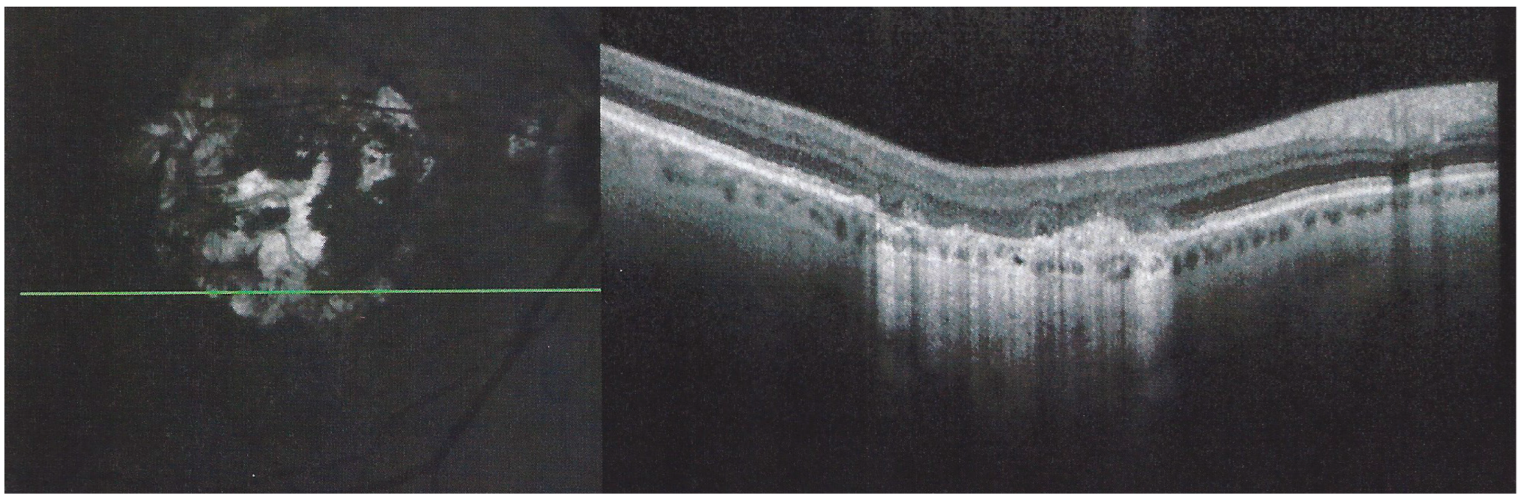 Medicina 58 01070 g015 550