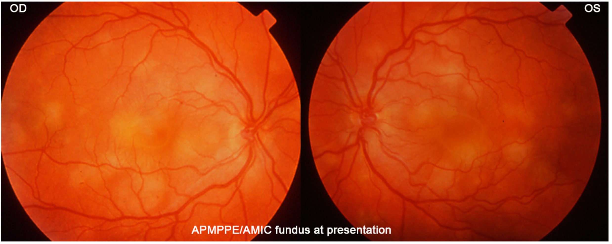 Medicina 58 01070 g017 550