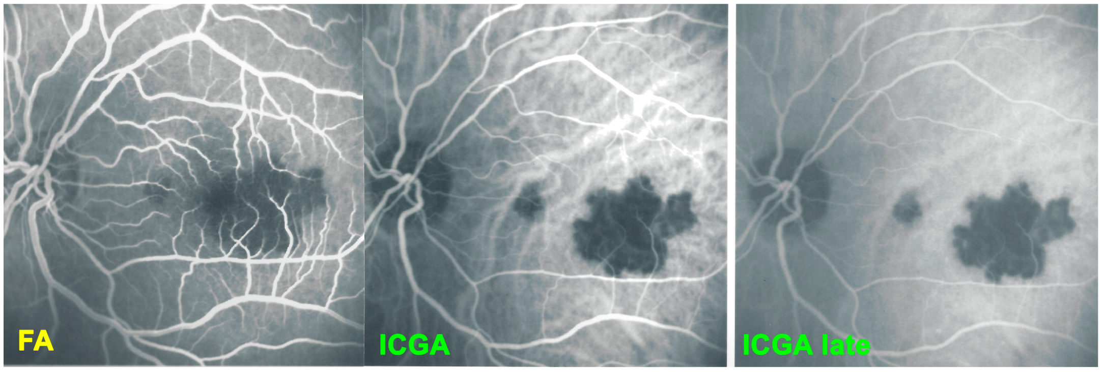 Medicina 58 01070 g020 550