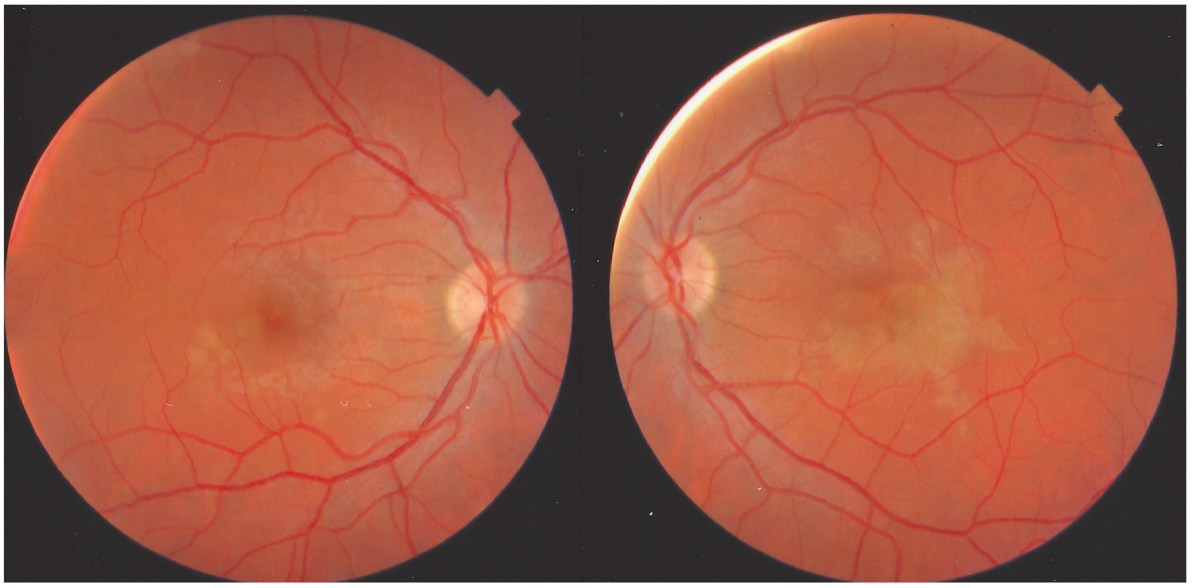 Medicina 58 01070 g023 550