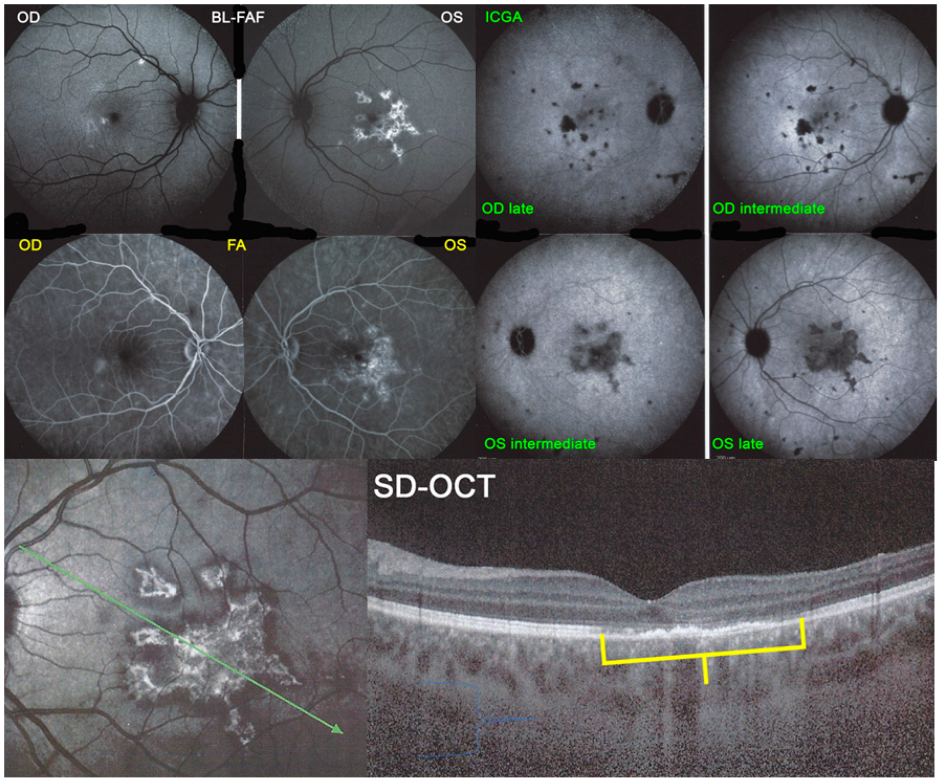 Medicina 58 01070 g024 550