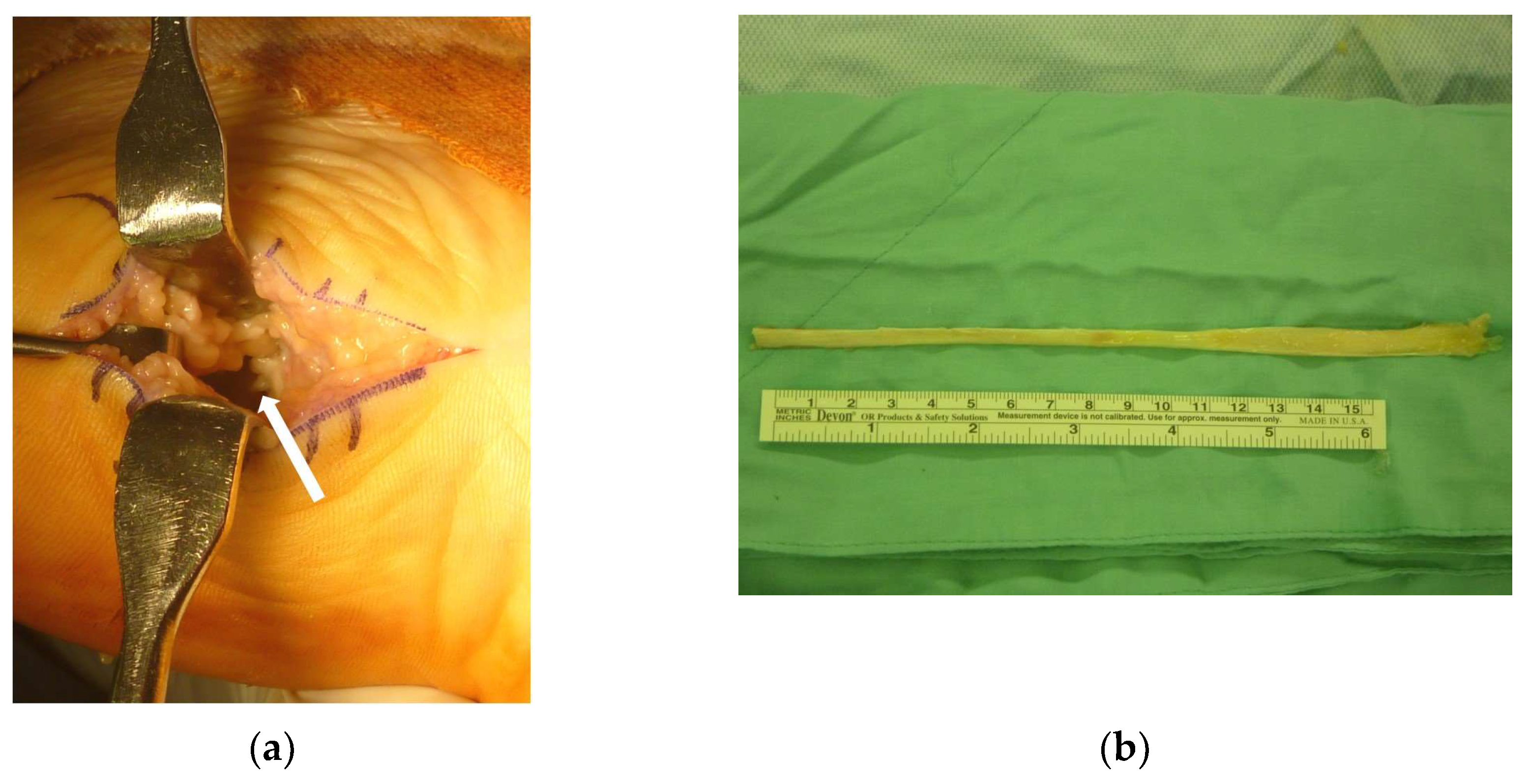 Medicina 58 01075 g002