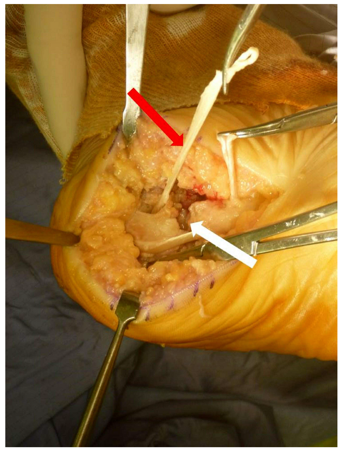 Medicina 58 01075 g003