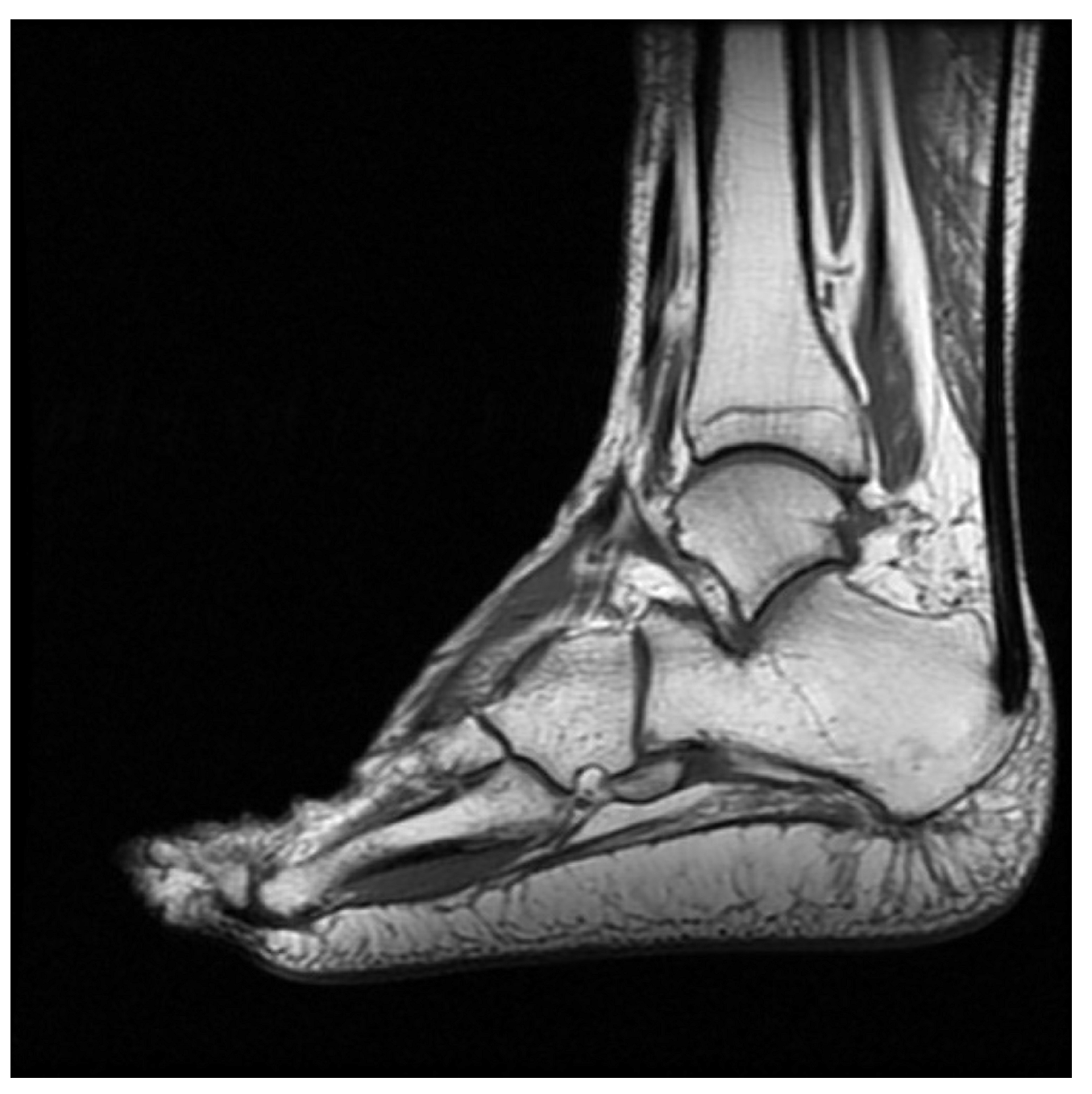 Medicina 58 01075 g005