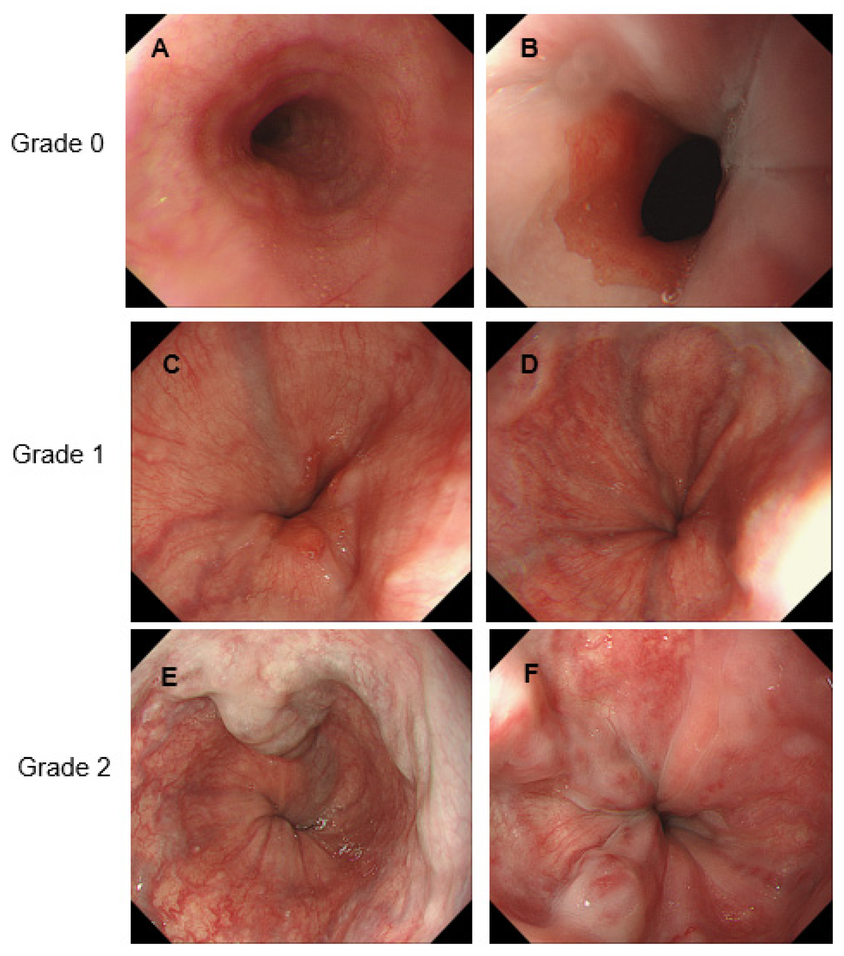 Medicina 58 01077 g002 550