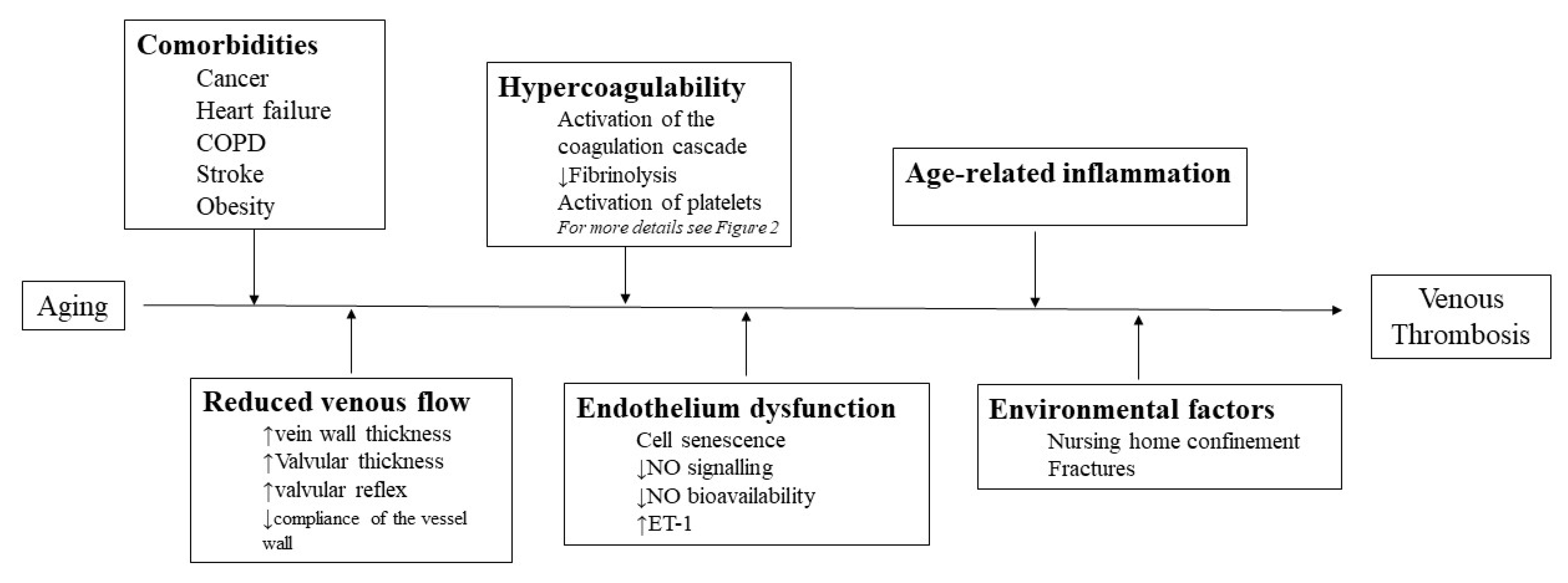 Medicina 58 01078 g001 Medicina 58 01078 g001