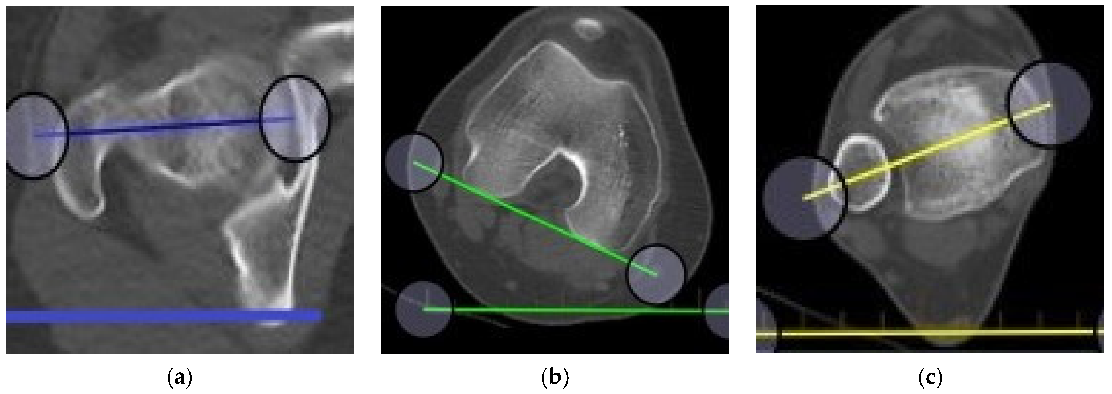 Medicina 58 01079 g001 550