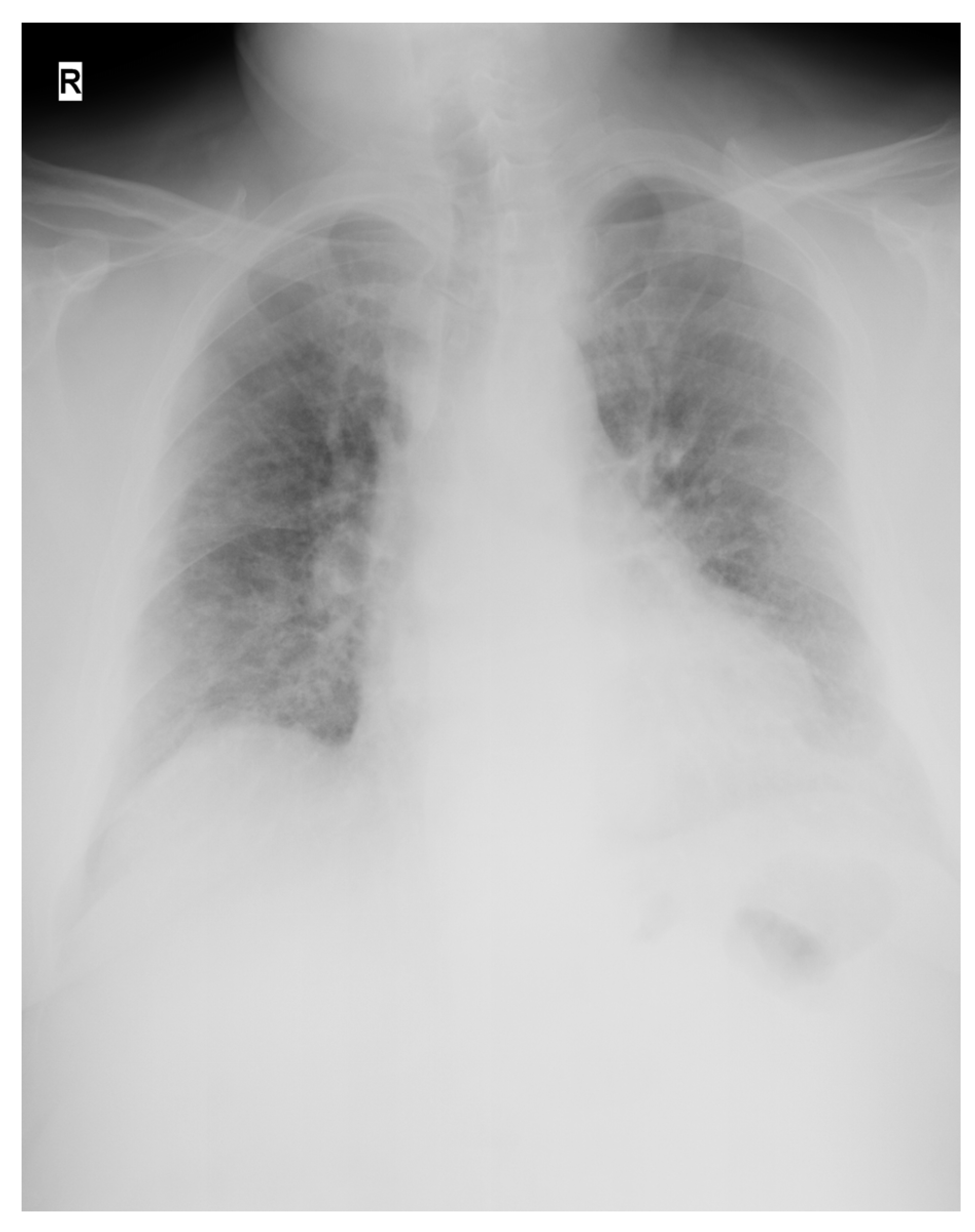 Medicina 58 01088 g001 550