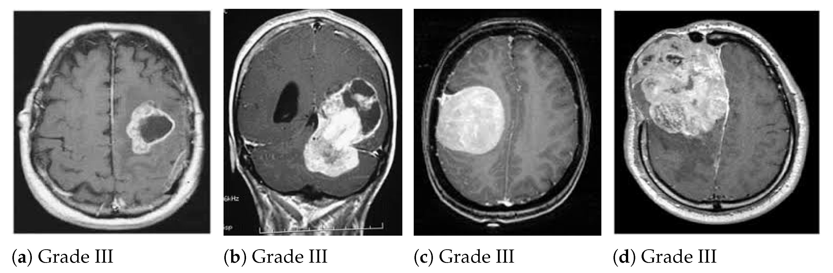 Medicina 58 01090 g003 550