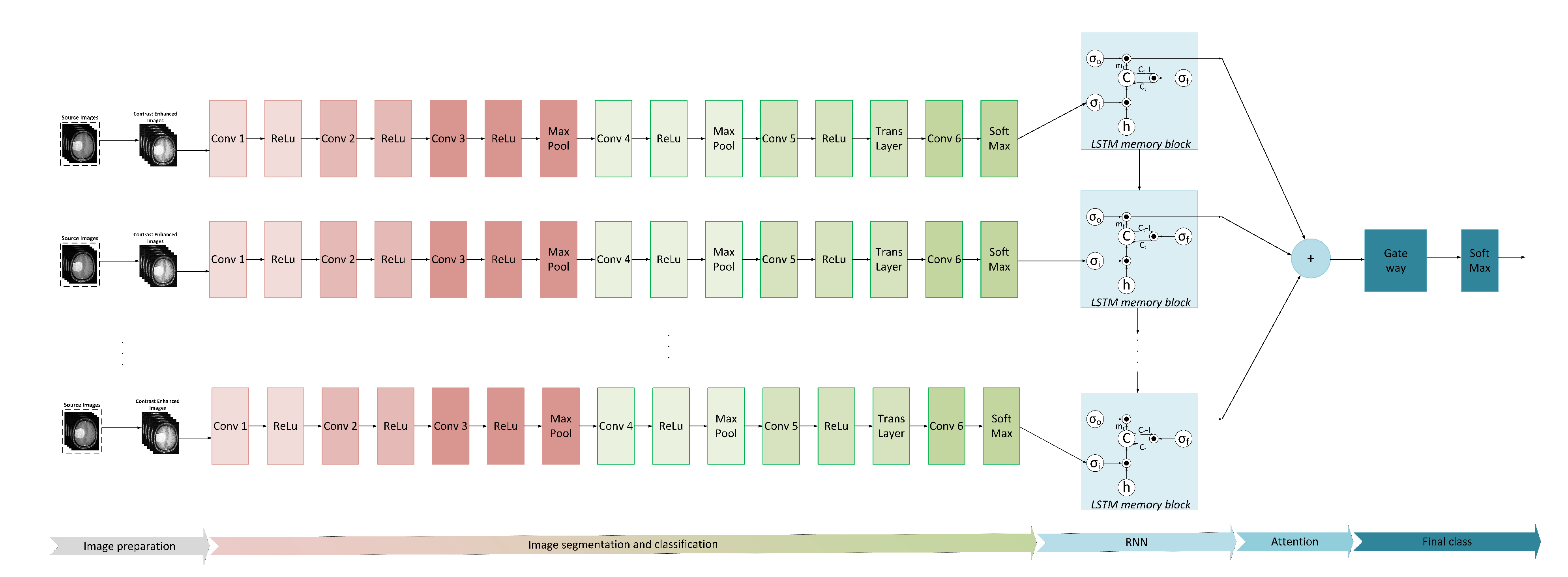 Medicina 58 01090 g006 550