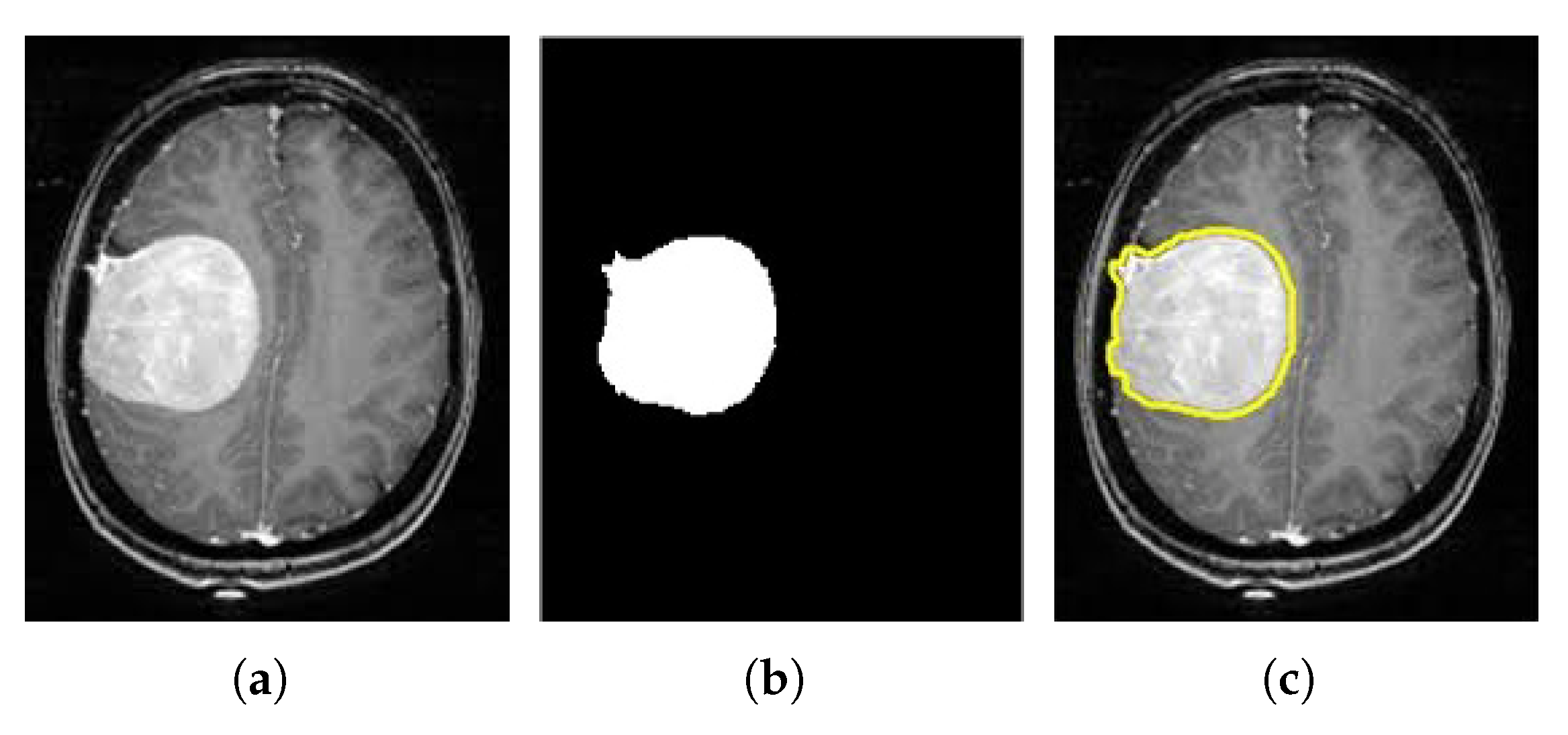Medicina 58 01090 g007 550