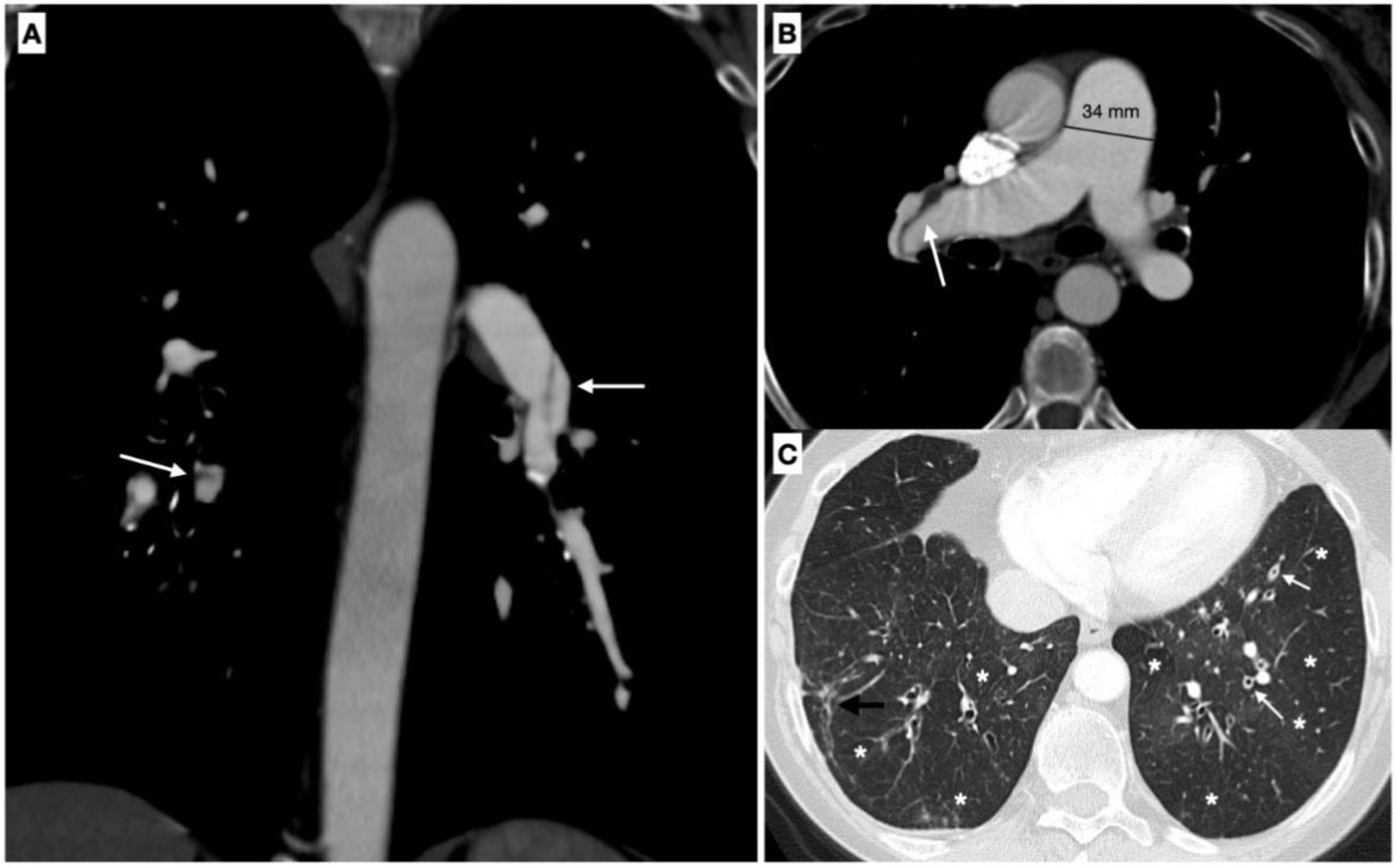 Medicina 58 01094 g002 550