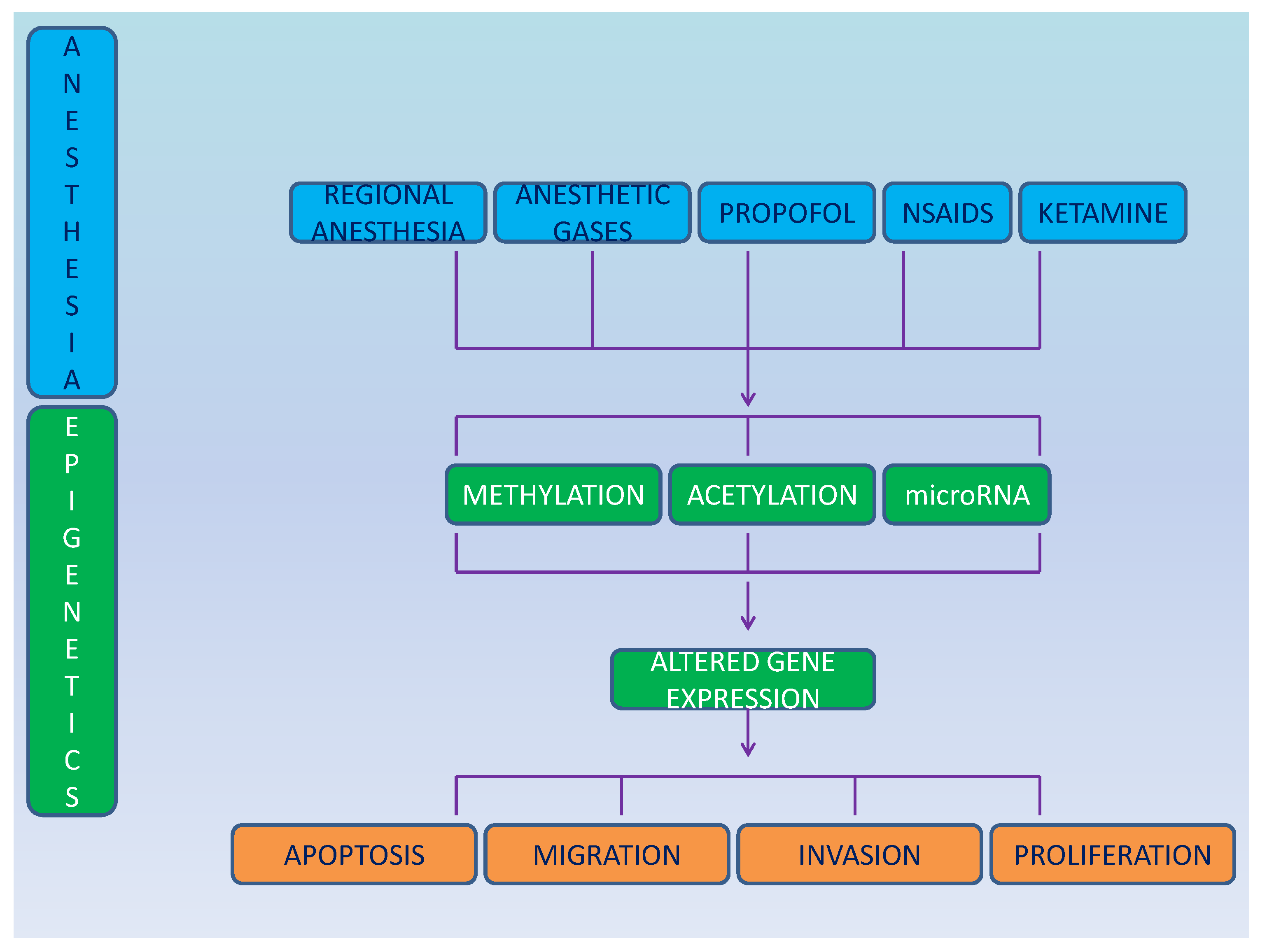 Medicina 58 01102 g001