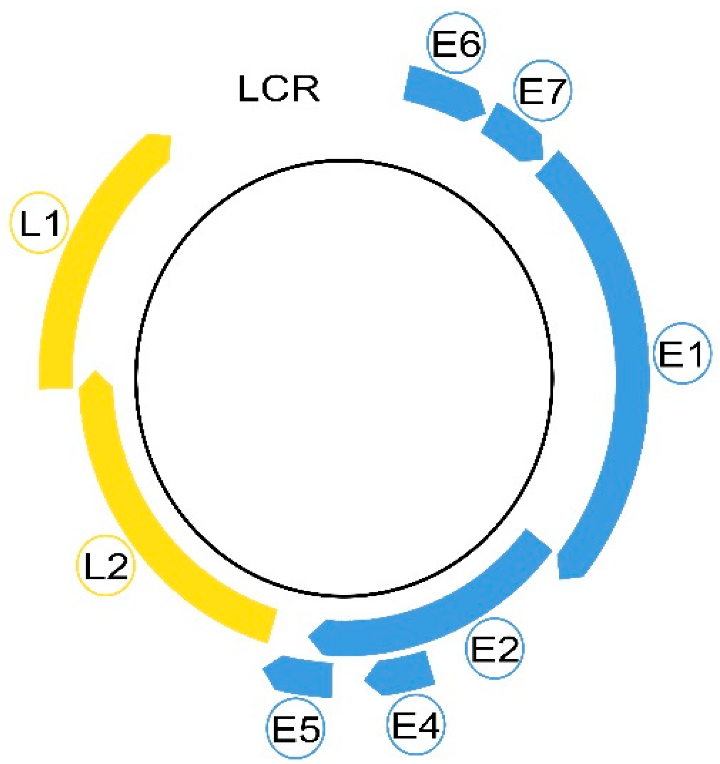 Medicina 58 01103 g001