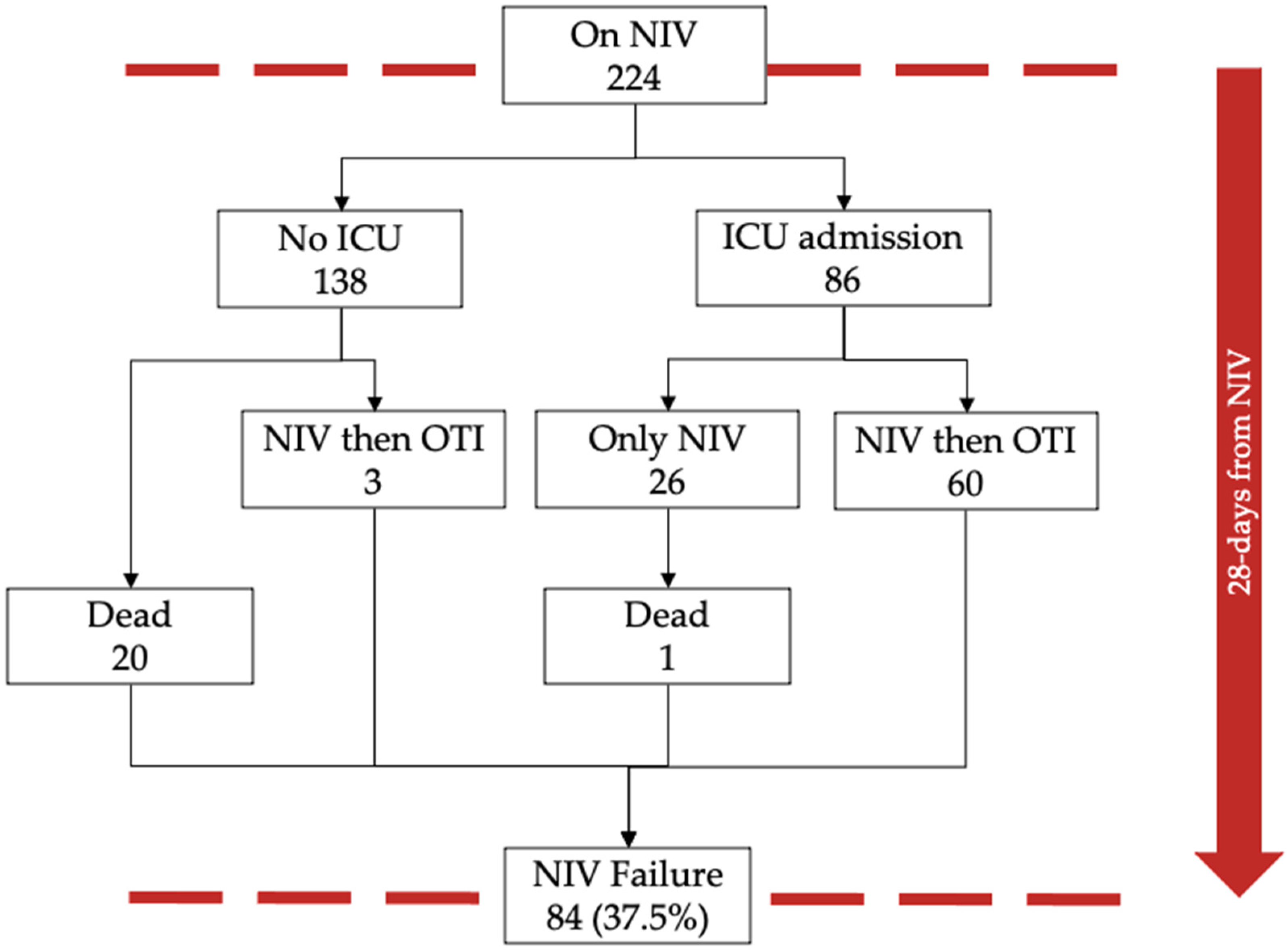 Medicina 58 01104 g002 550