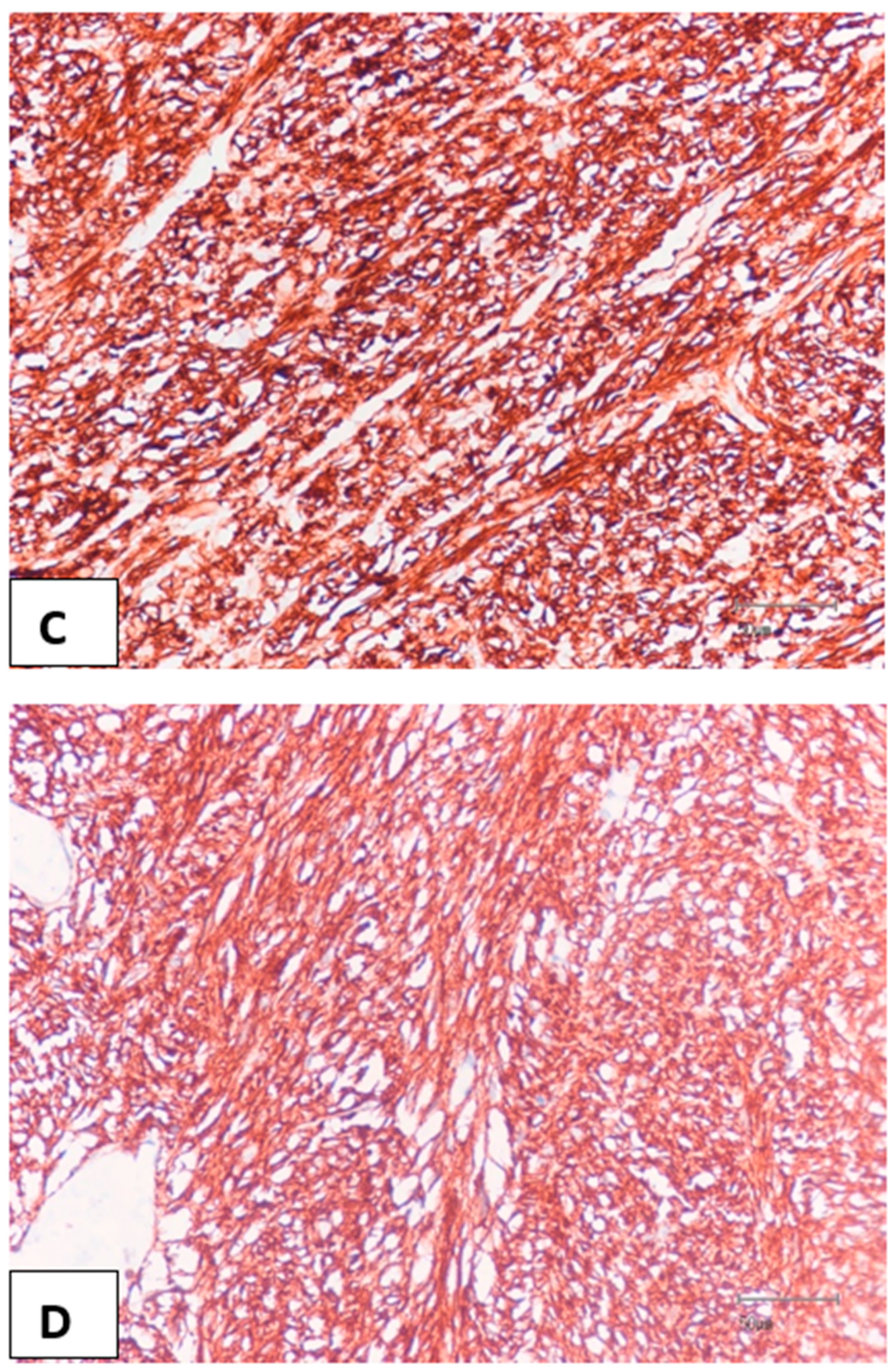 Medicina 58 01116 g002b