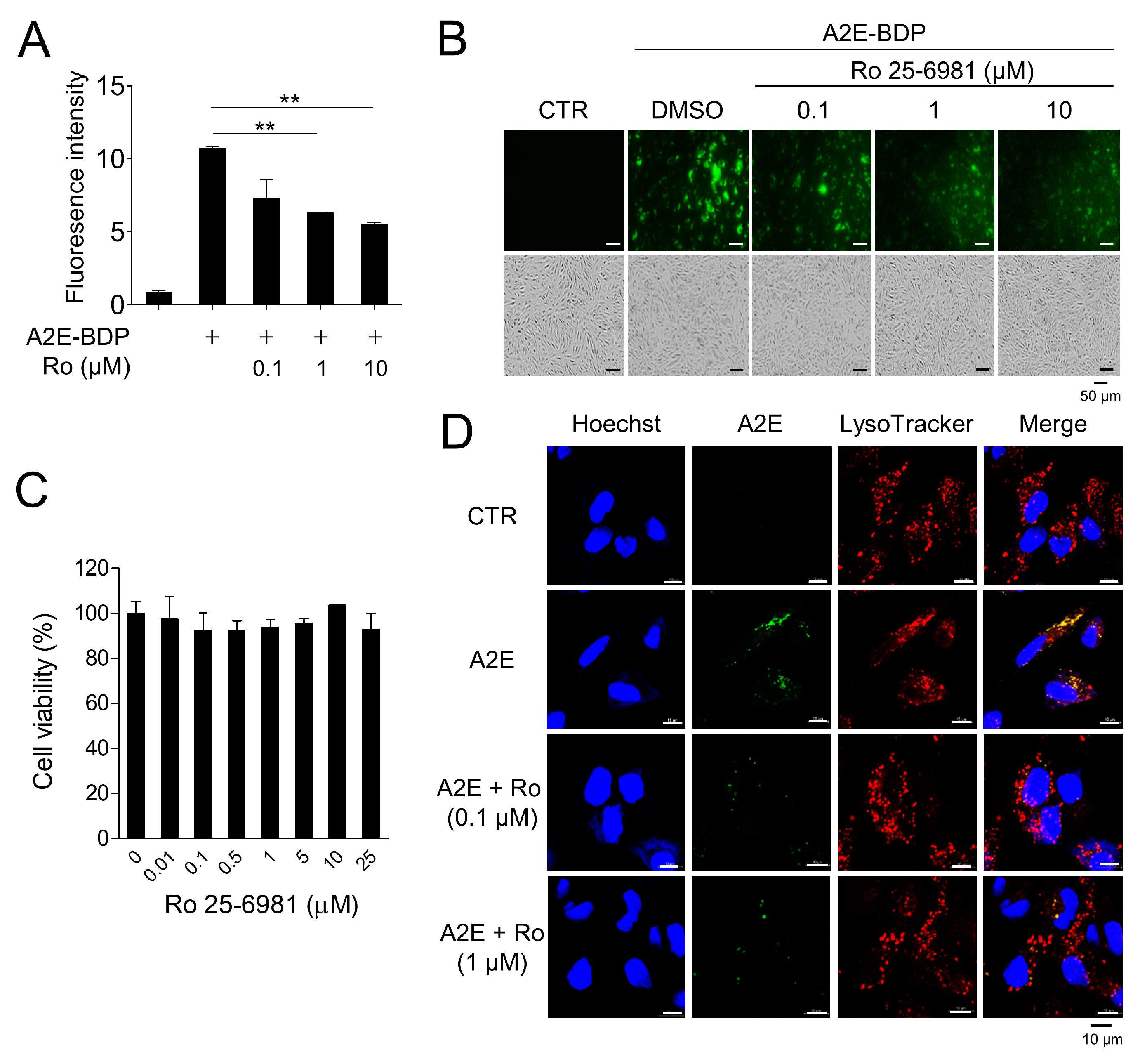 Medicina 58 01129 g001 550
