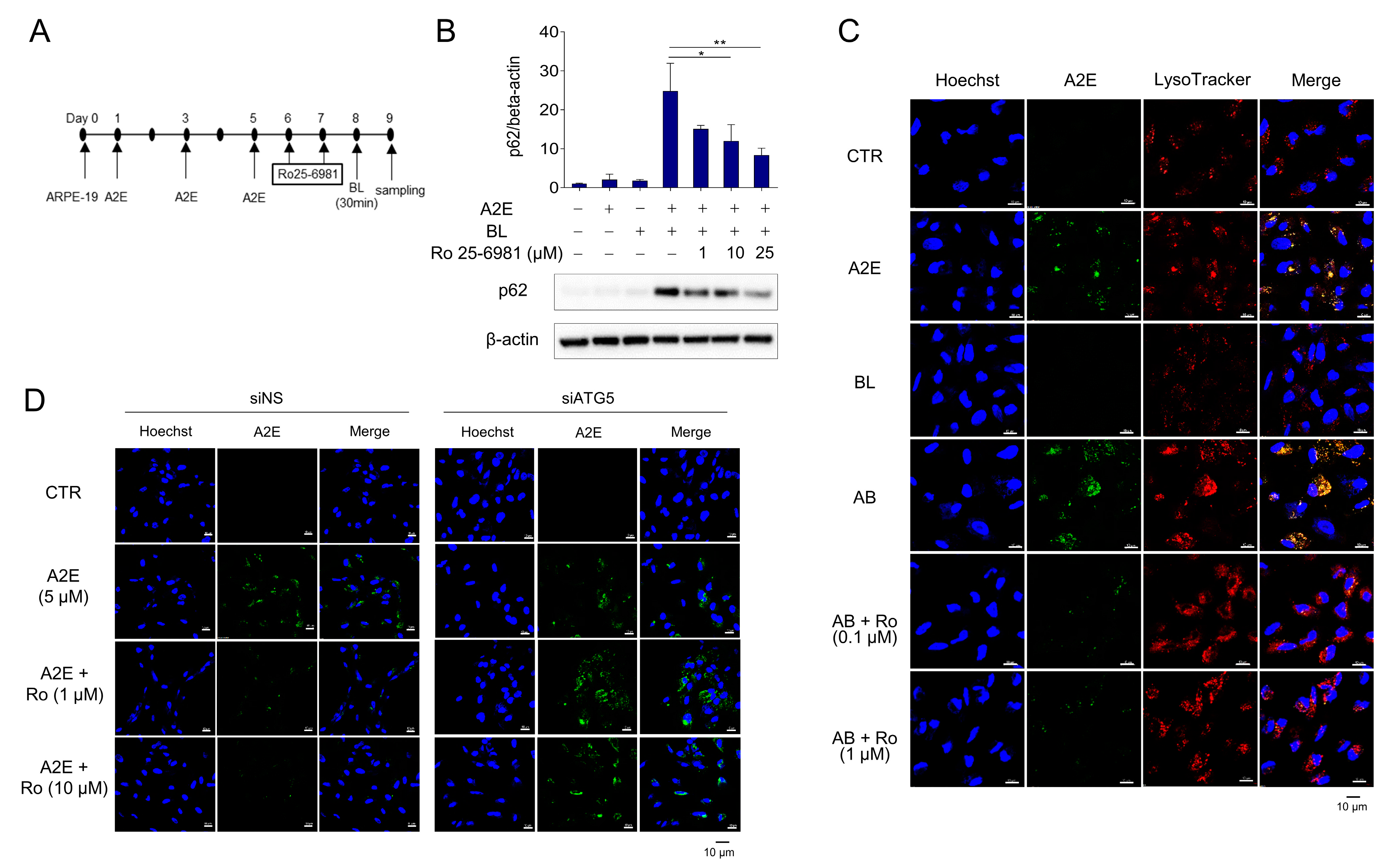 Medicina 58 01129 g003 550