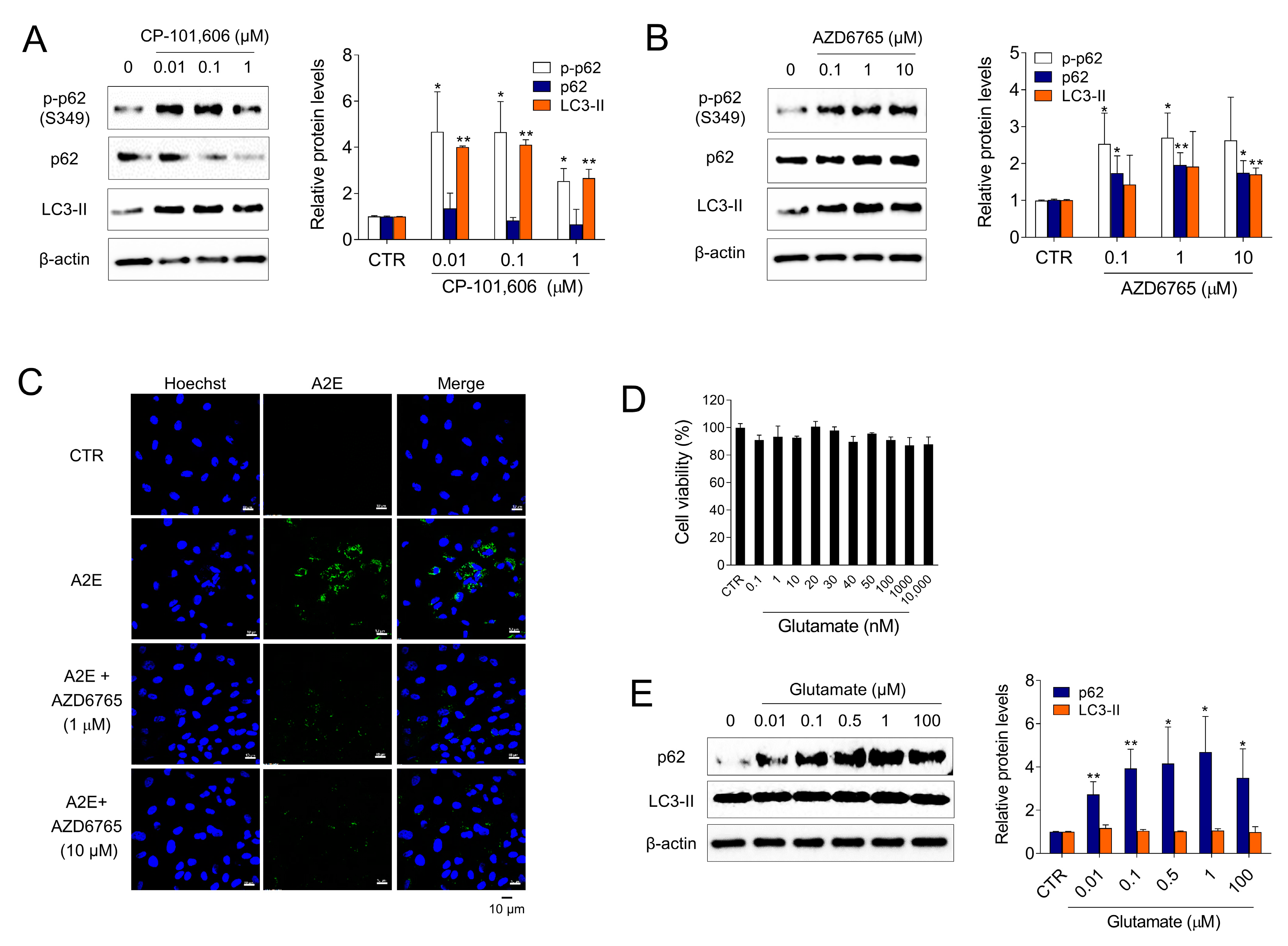 Medicina 58 01129 g004 550