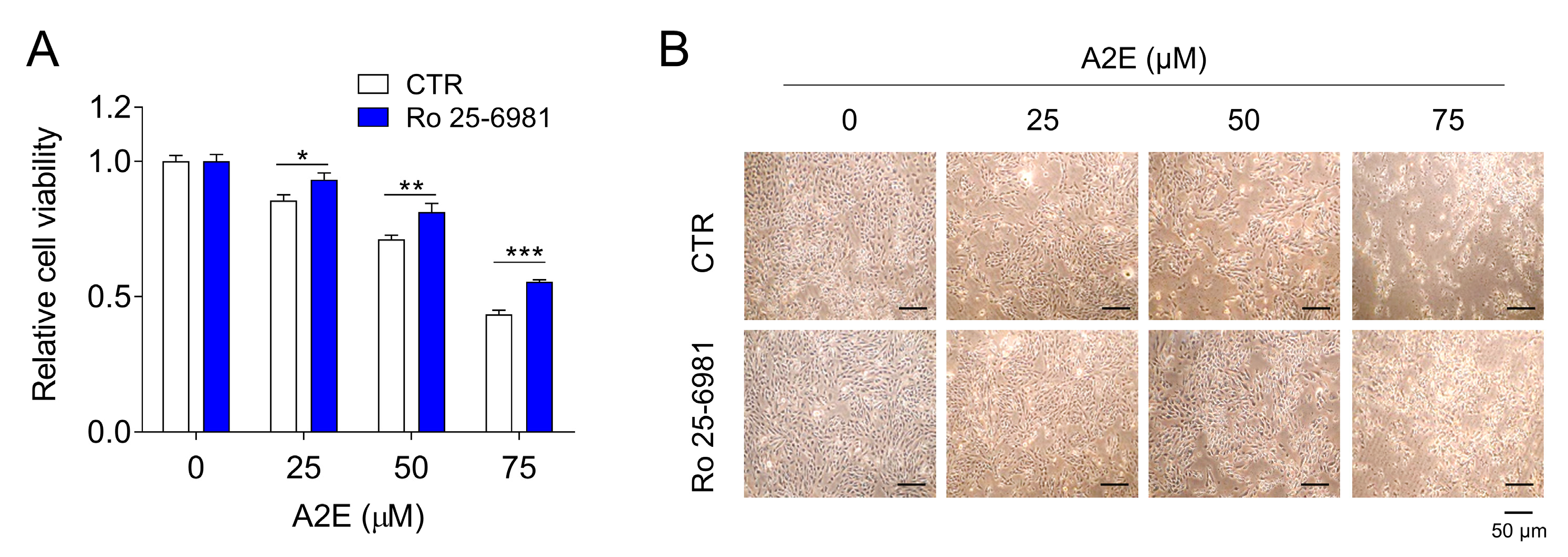Medicina 58 01129 g005 550