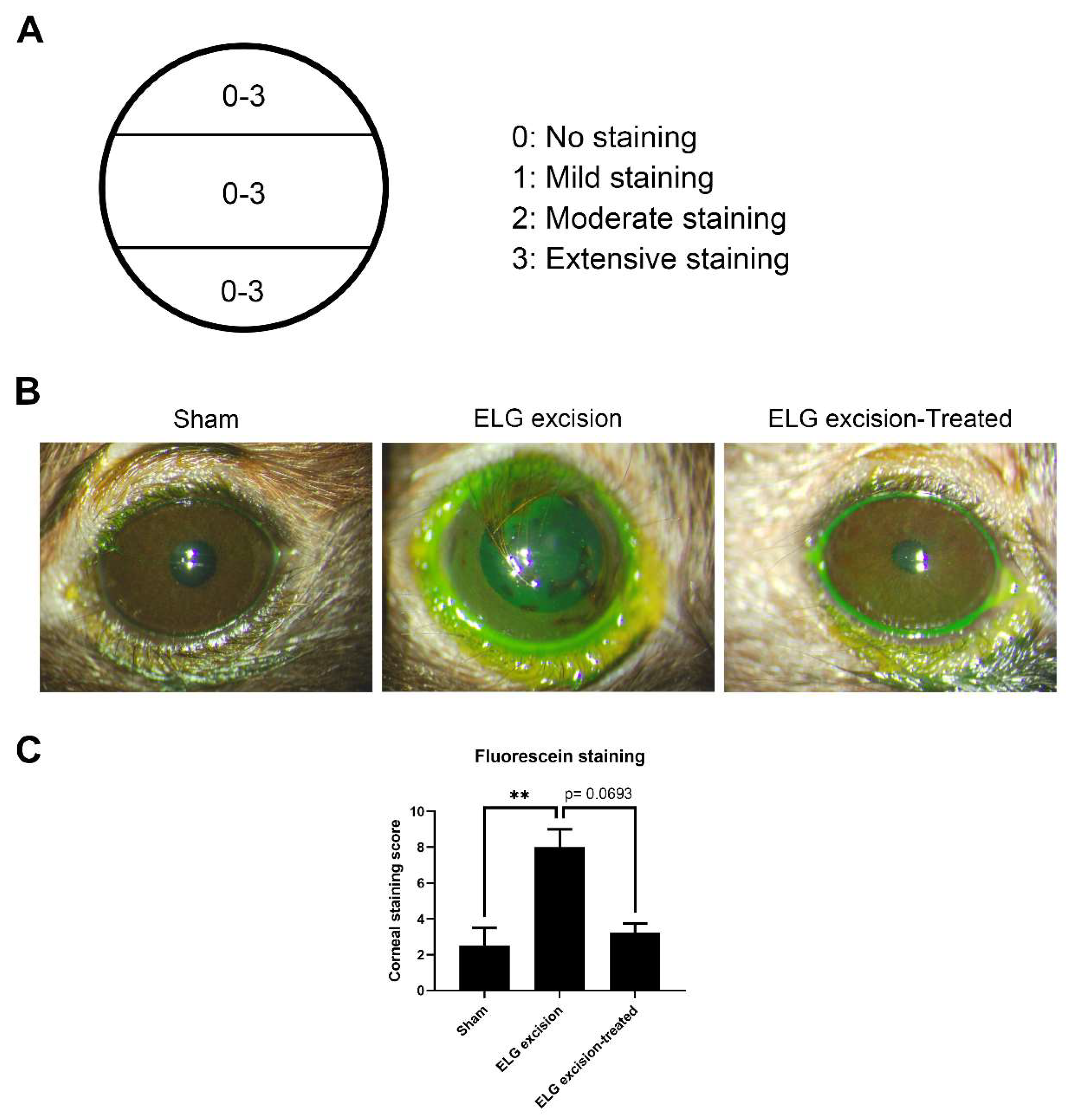 Medicina 58 01134 g002 550