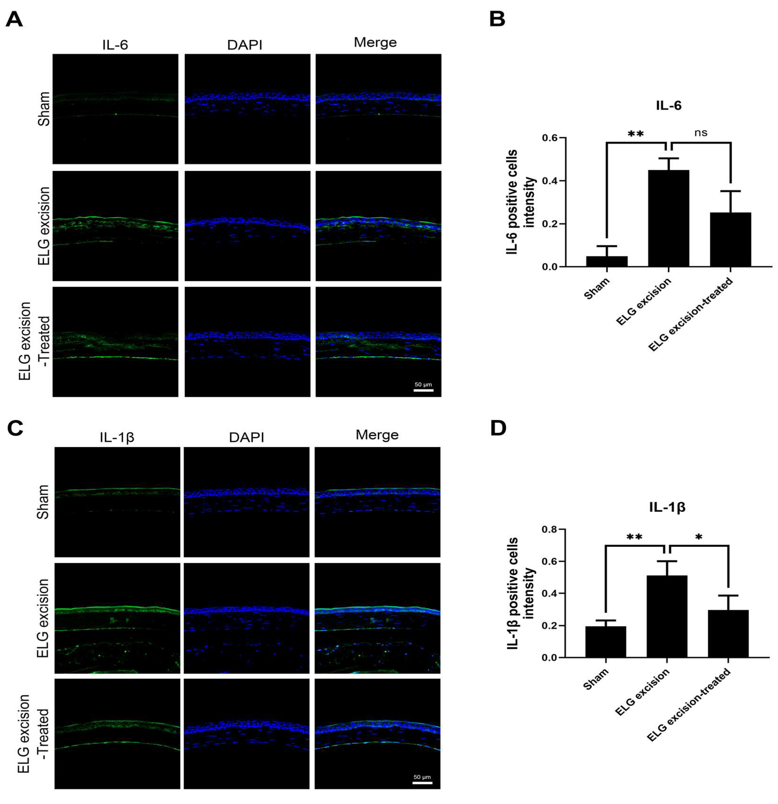 Medicina 58 01134 g005 550