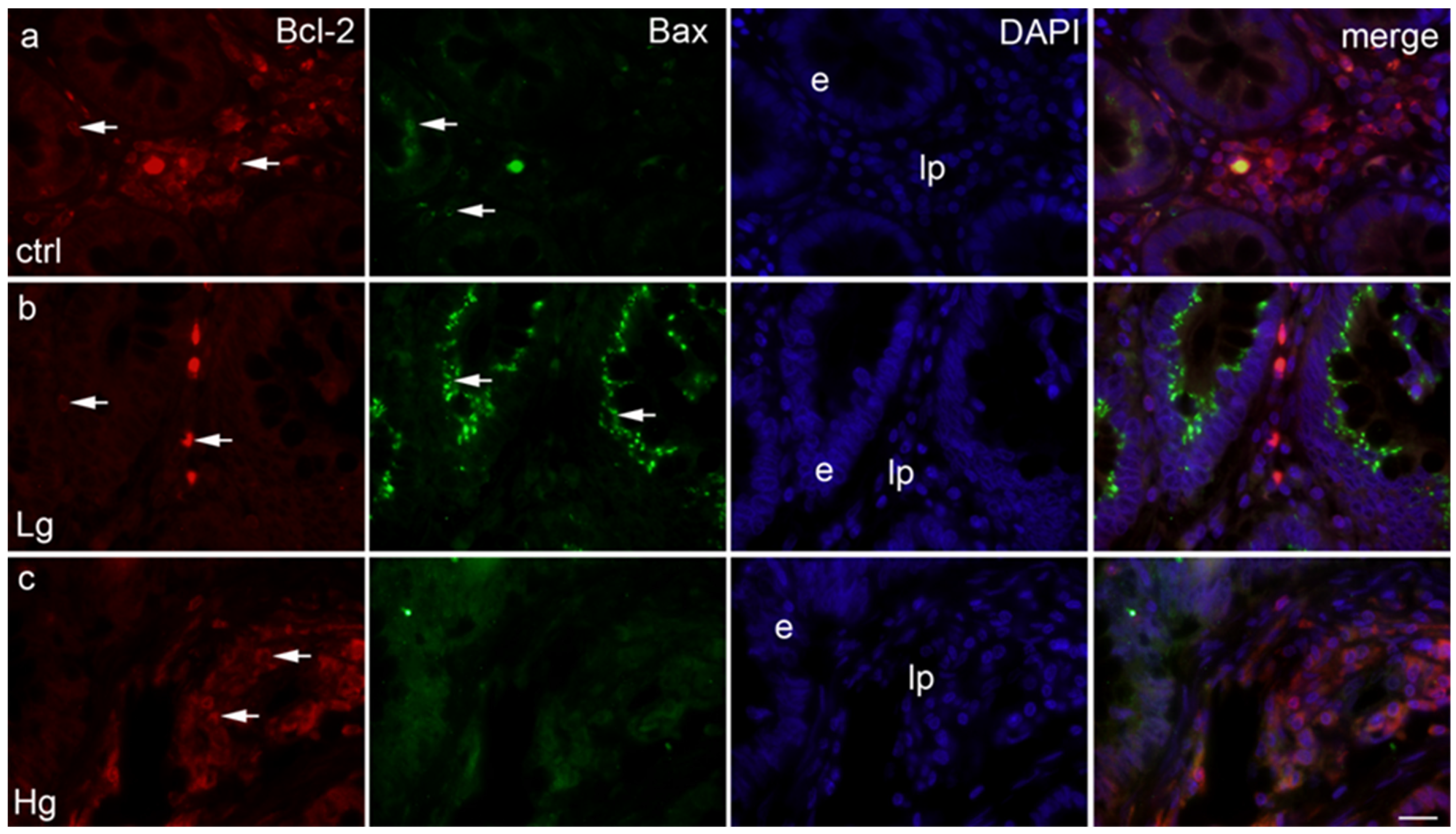 Medicina 58 01135 g002