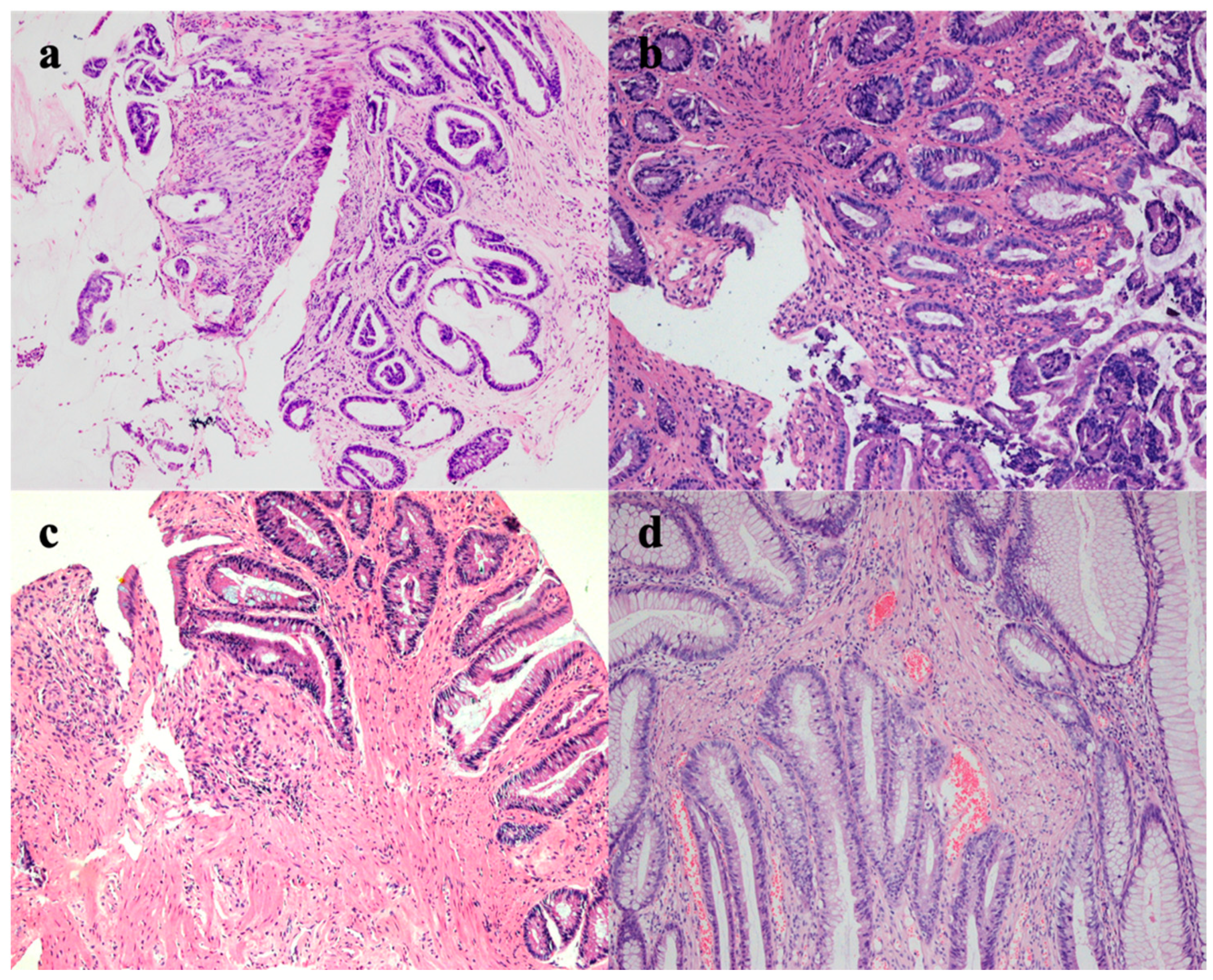 Medicina 58 01136 g002