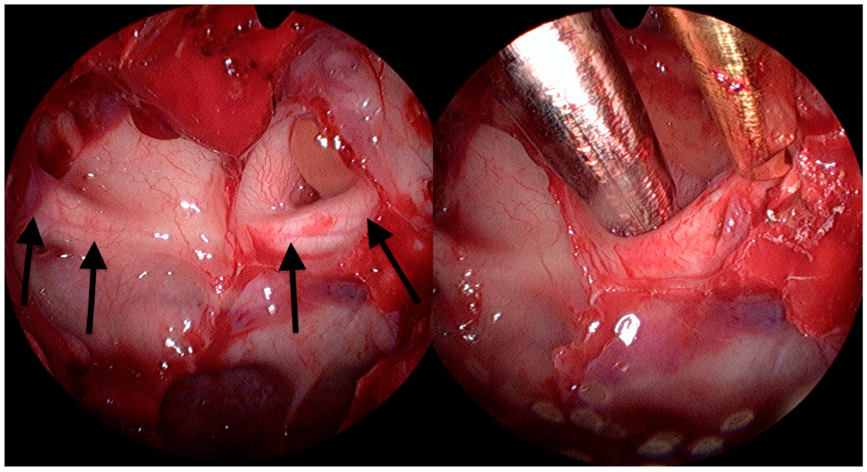 Medicina 58 01137 g002 550