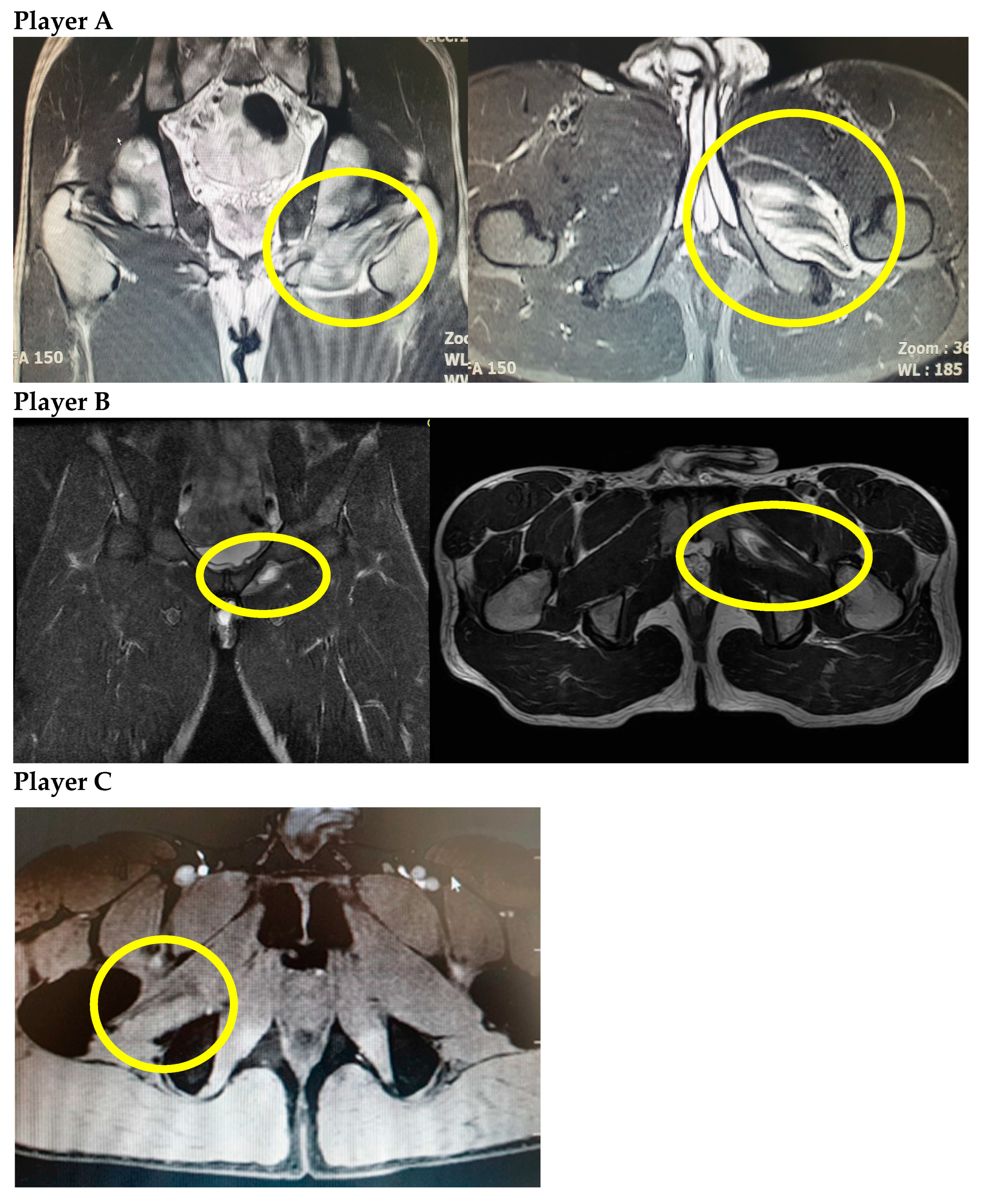 Medicina 58 01145 g001 550