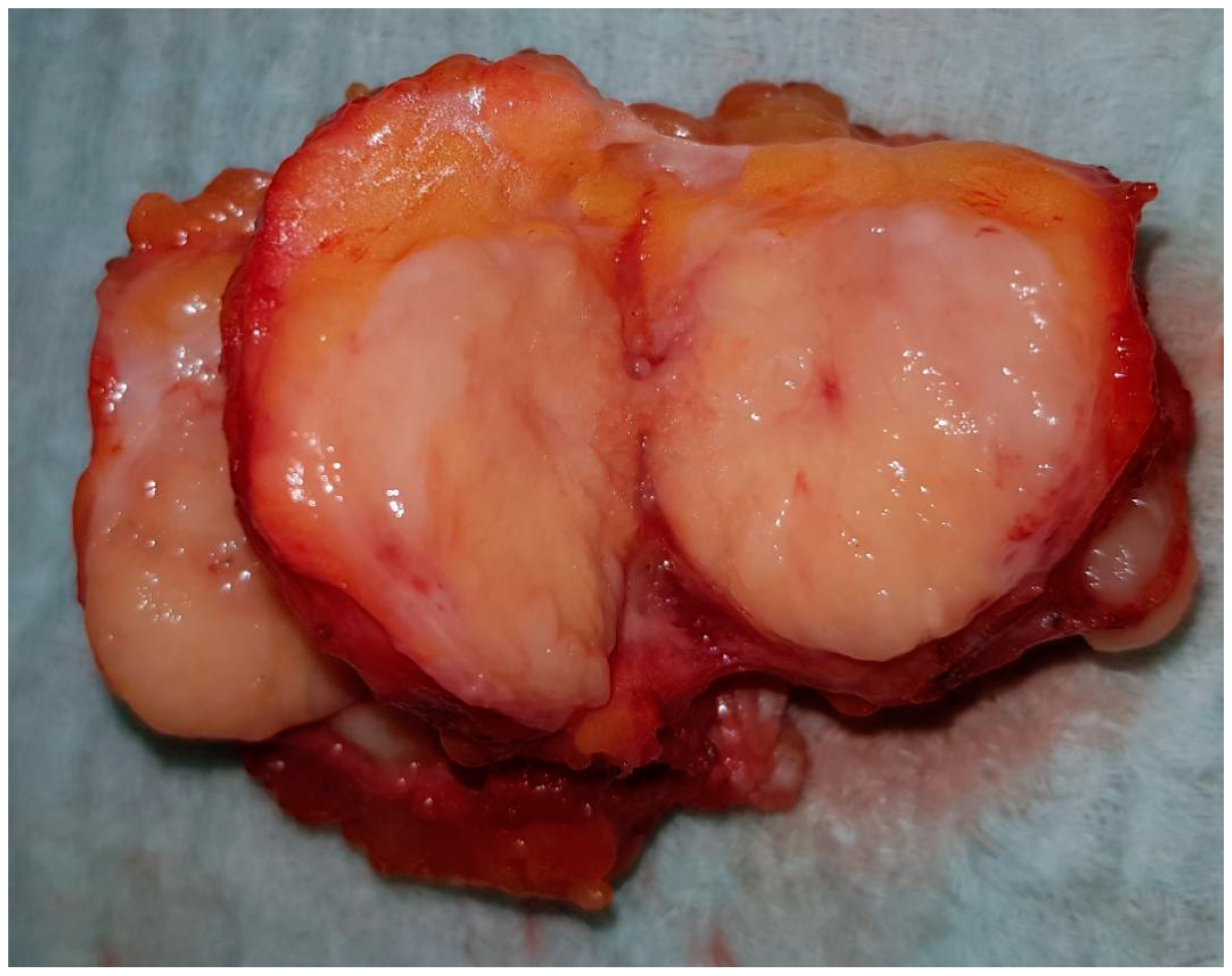 Medicina 58 01146 g002