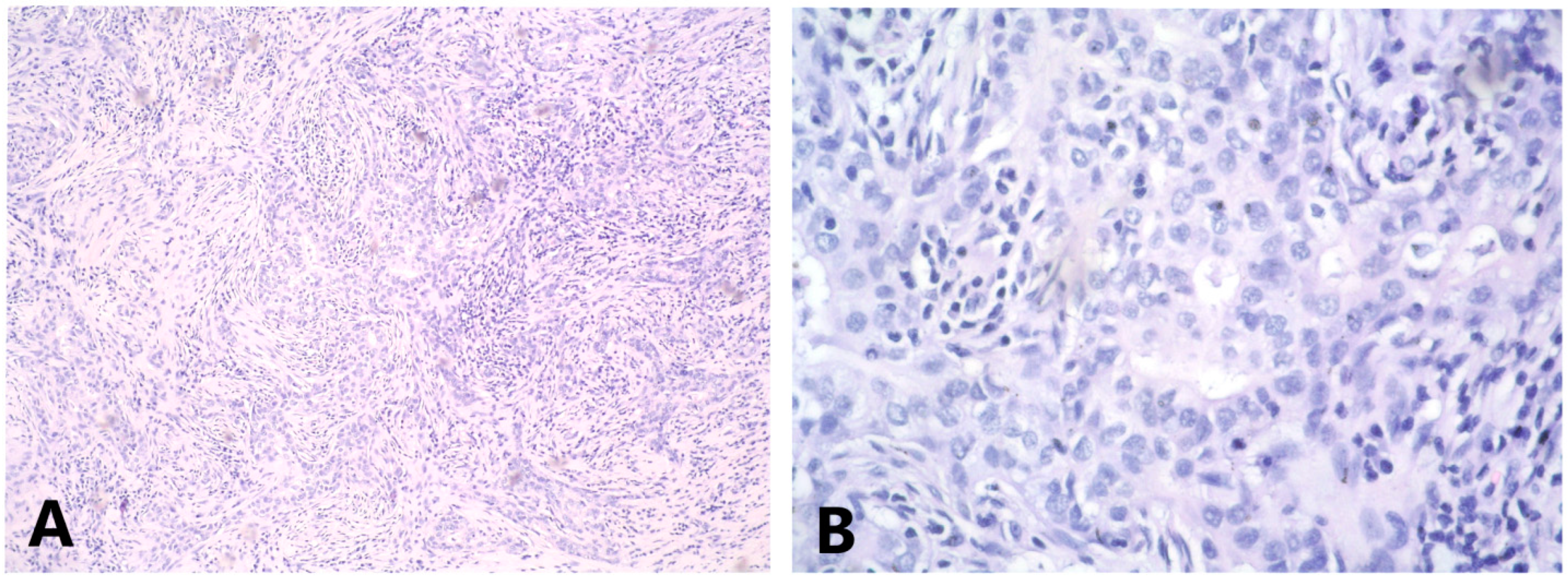 Medicina 58 01146 g005