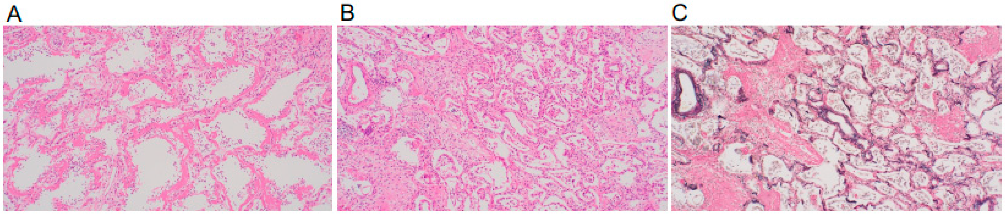 Medicina 58 01151 g003 550