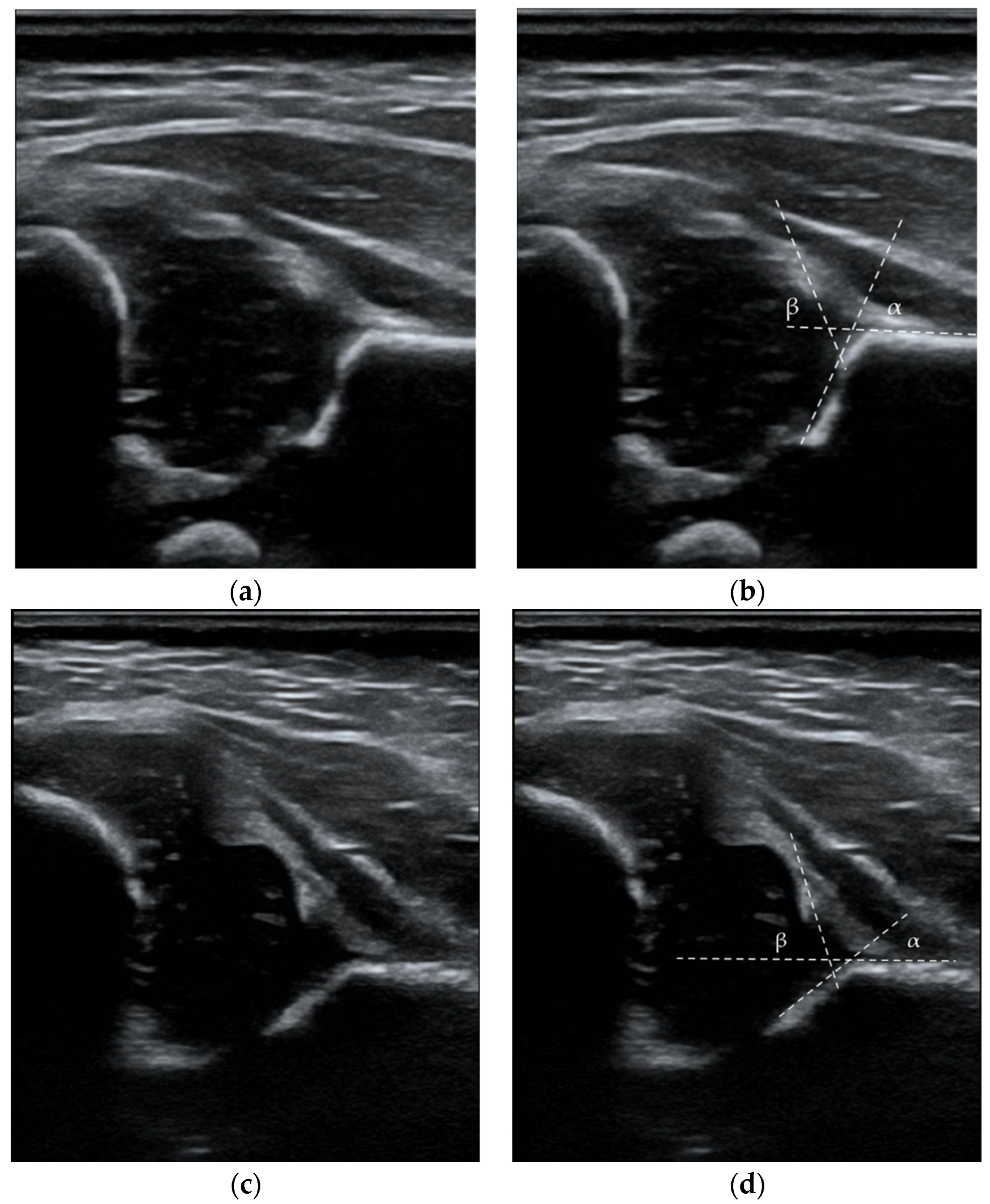Medicina 58 01158 g002