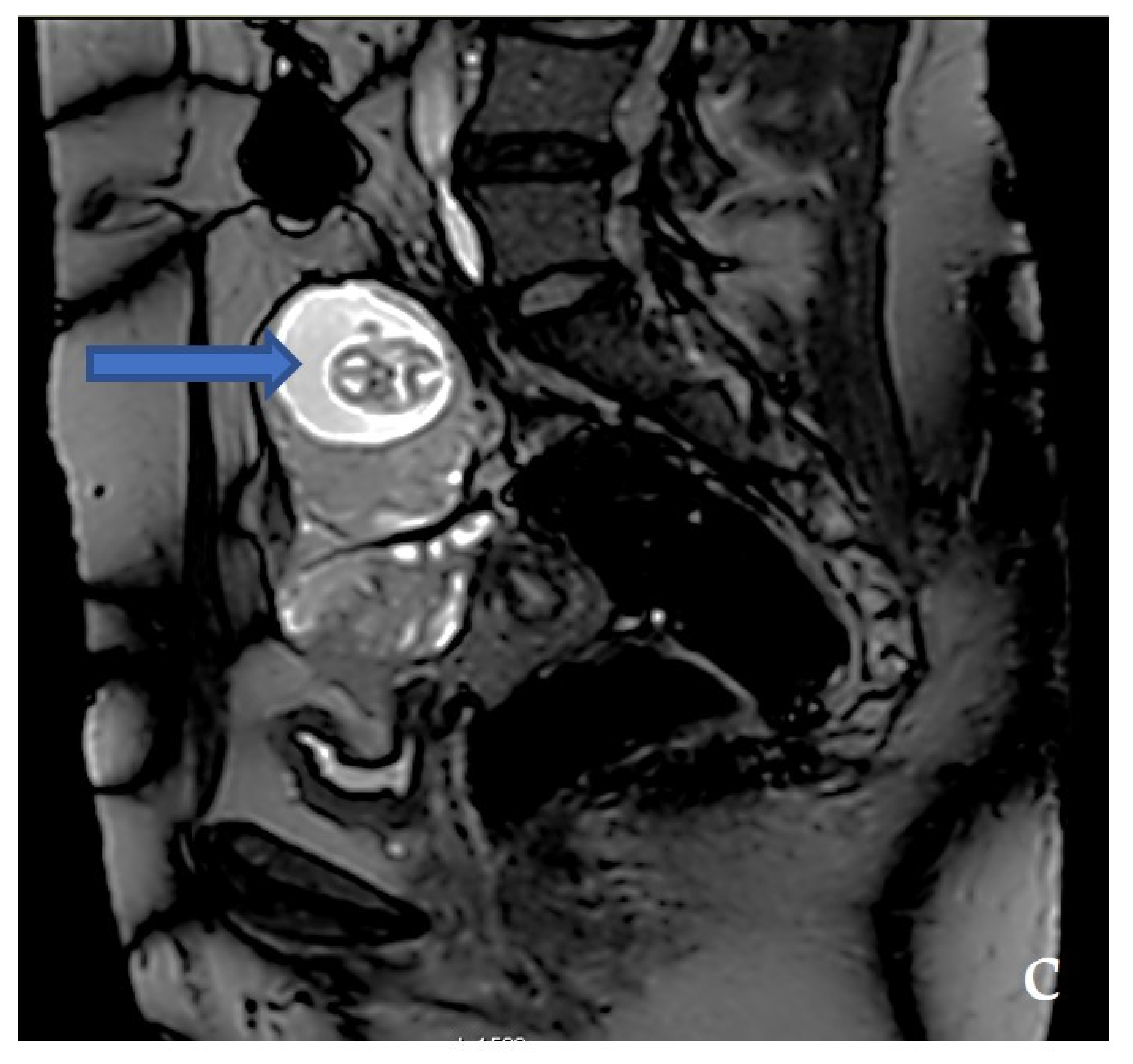 Medicina 58 01160 g004c
