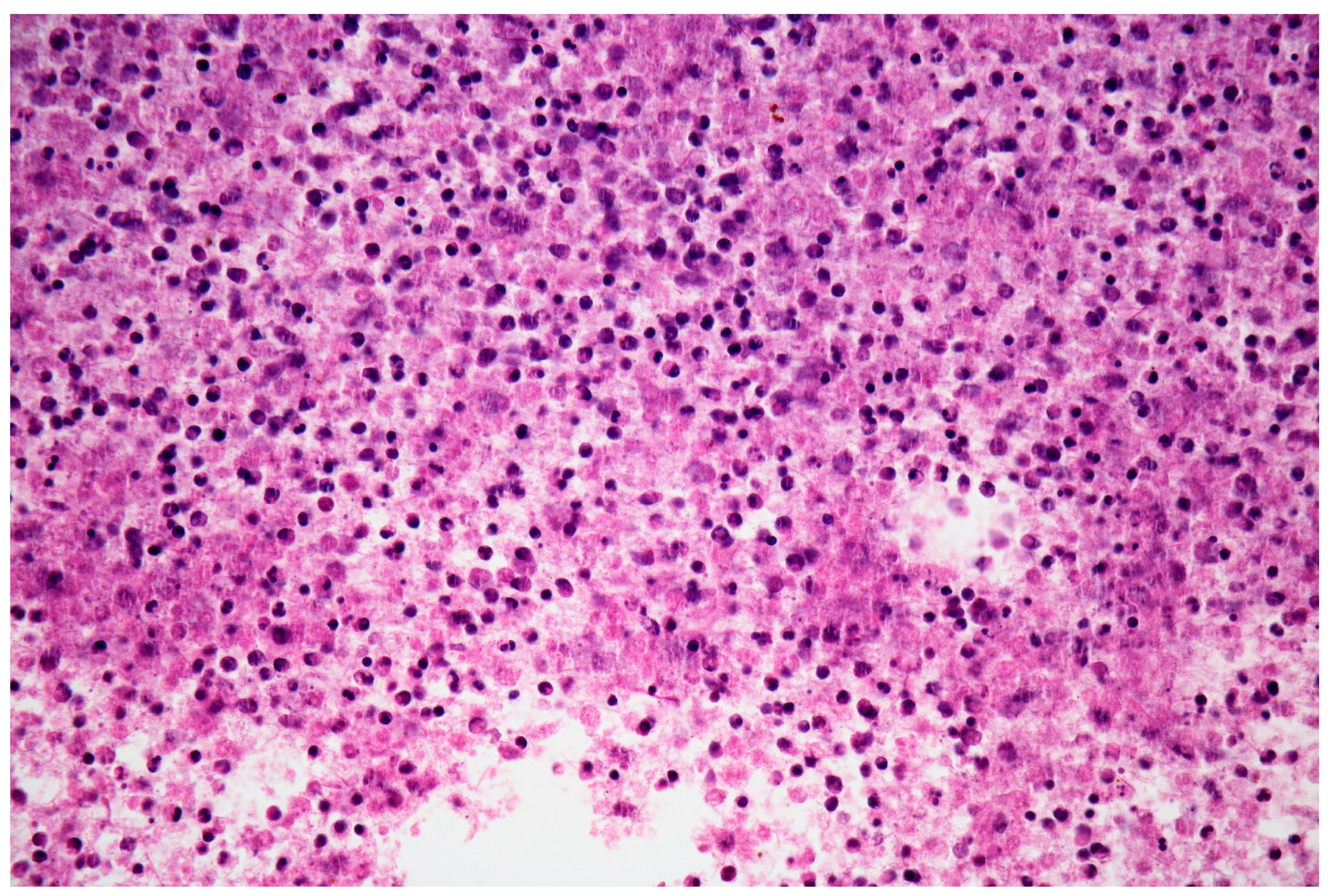 Medicina 58 01165 g007