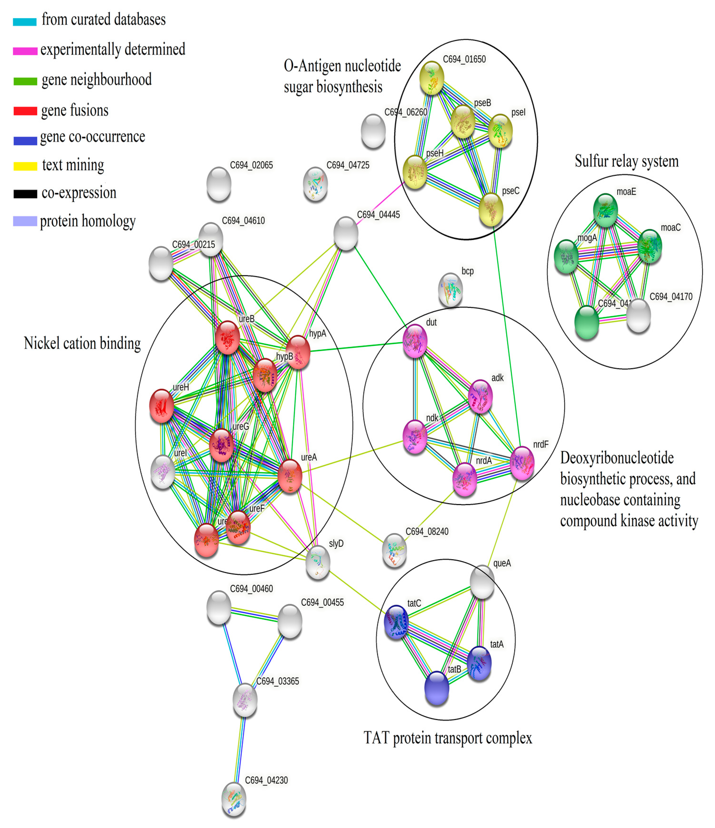Medicina 58 01168 g004 550