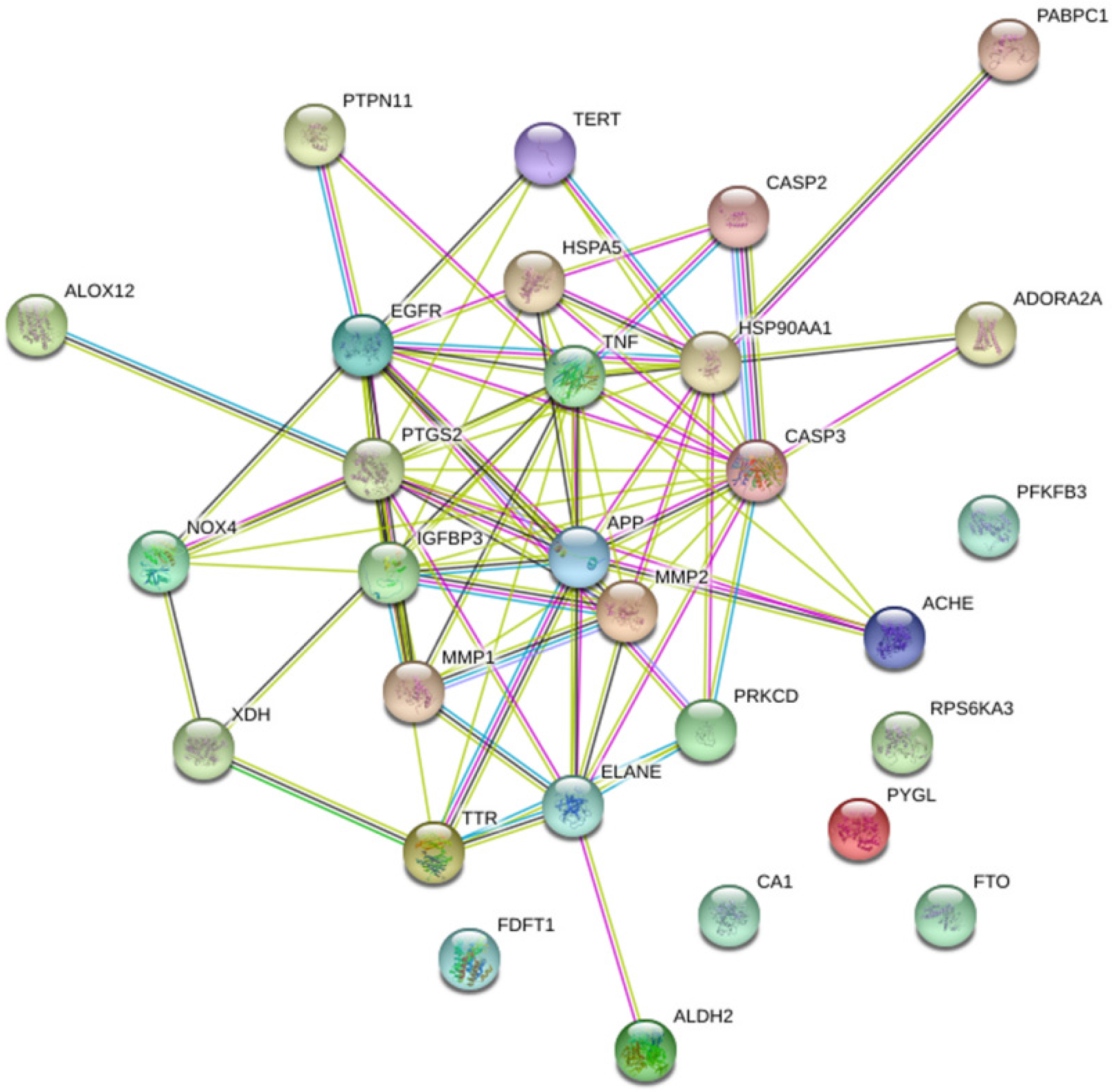 Medicina 58 01176 g002 Medicina 58 01176 g002