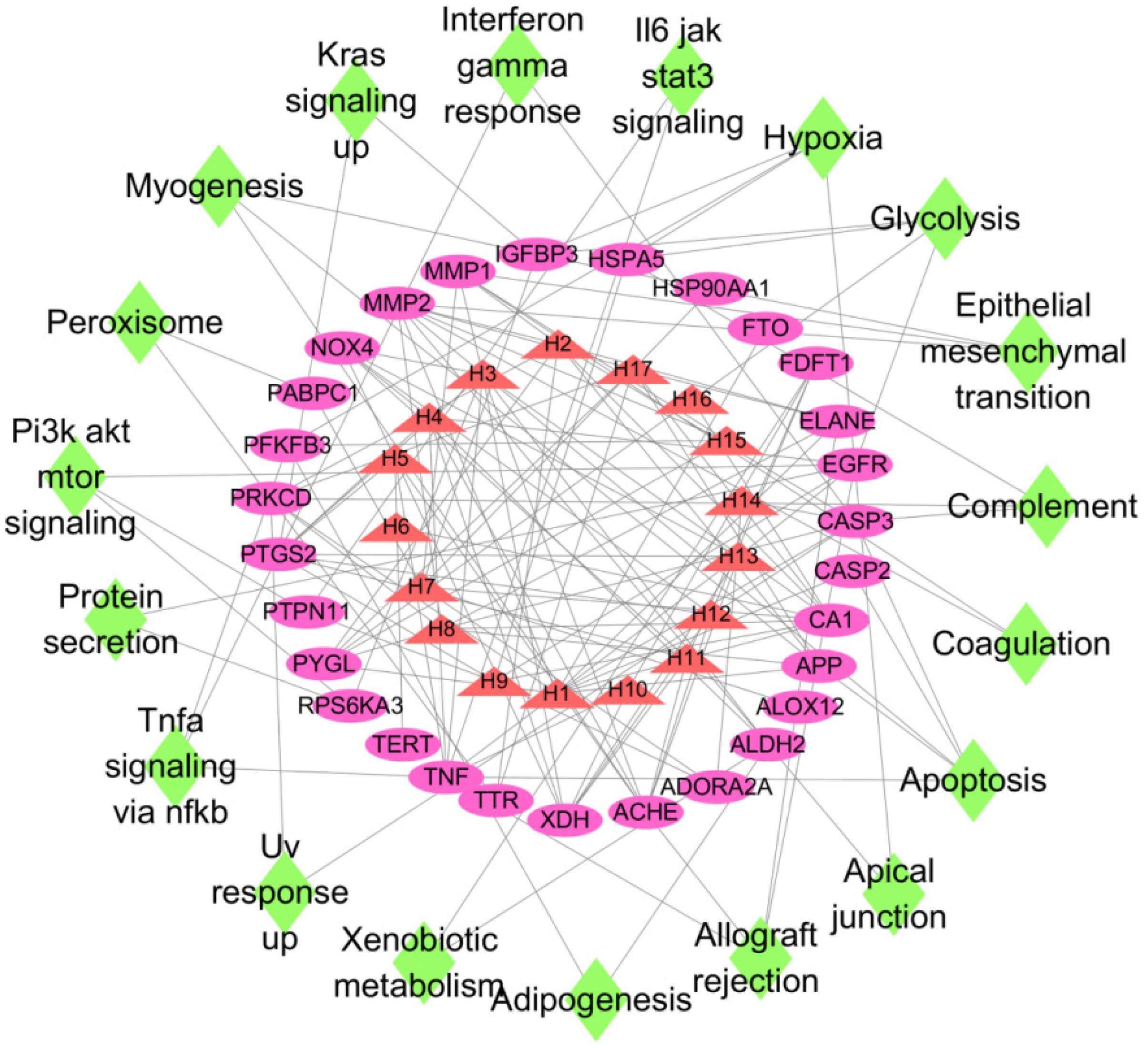 Medicina 58 01176 g004 Medicina 58 01176 g004