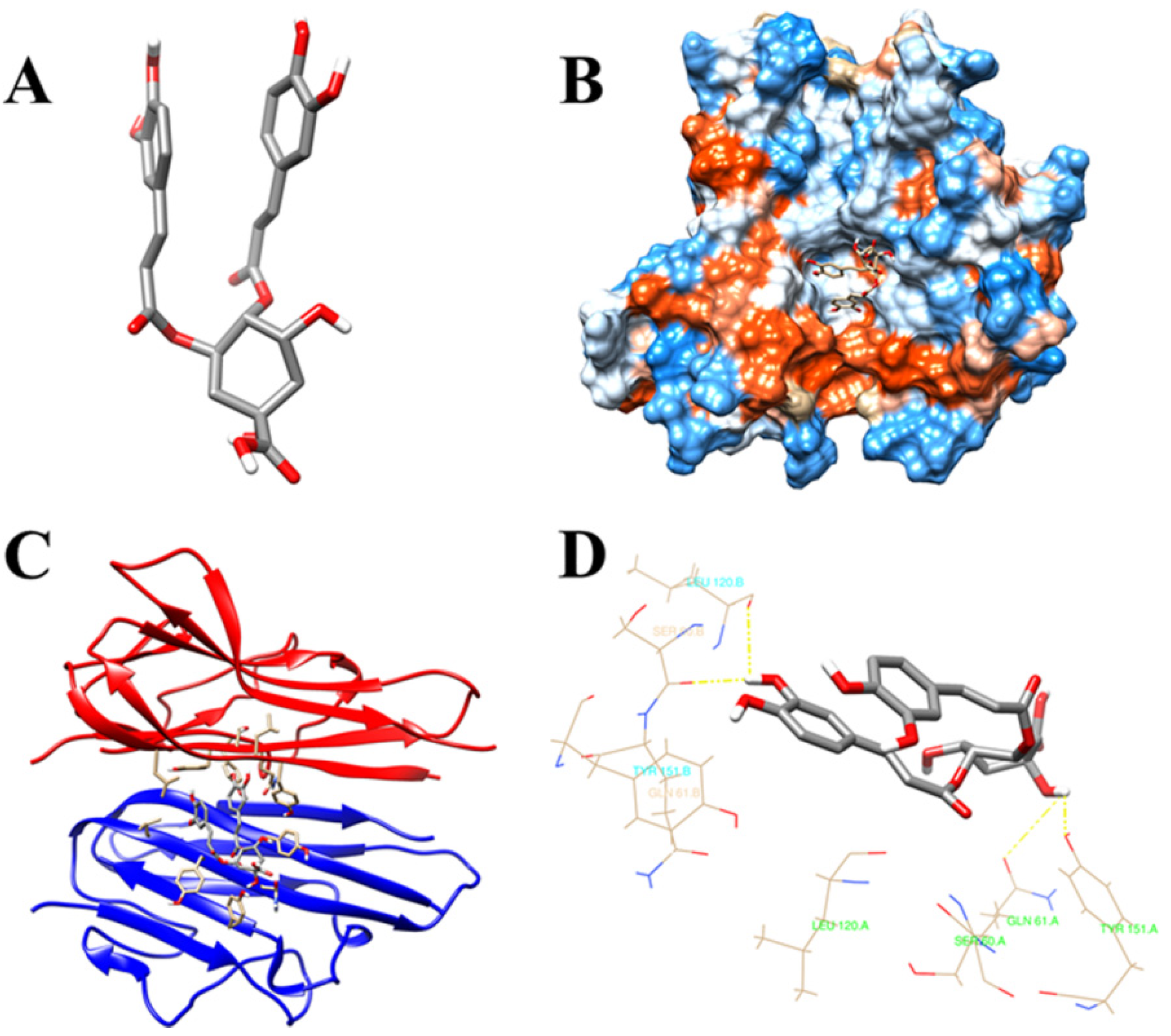 Medicina 58 01176 g006 Medicina 58 01176 g006