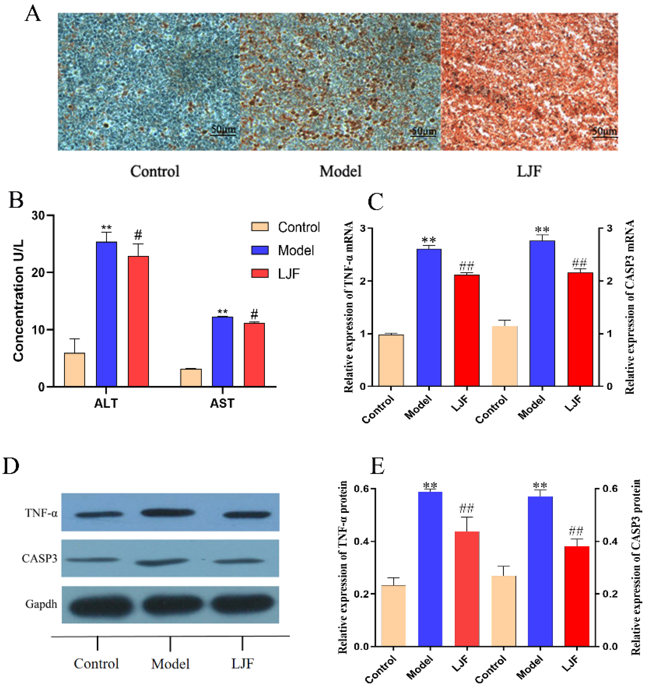 Medicina 58 01176 g007 Medicina 58 01176 g007