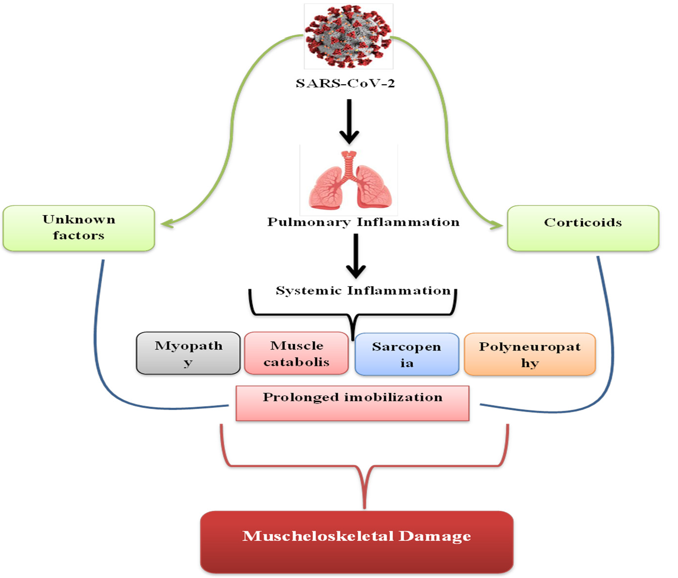 Medicina 58 01199 g001 550