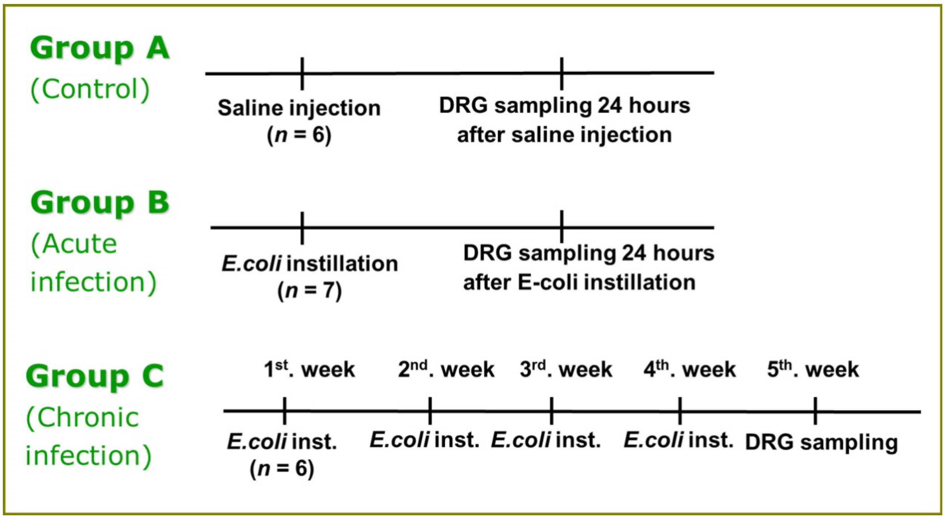 Medicina 58 01210 g001 550