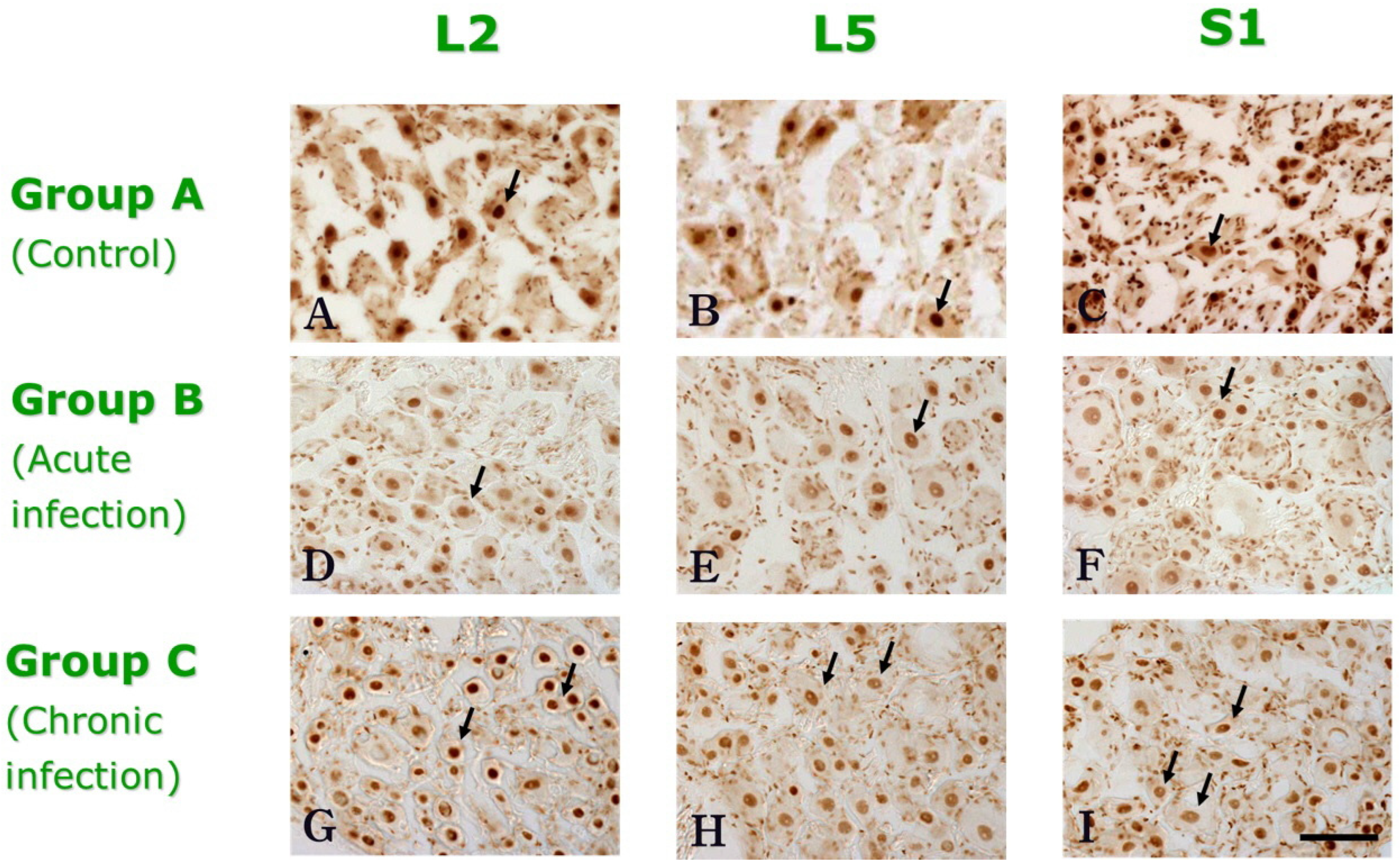 Medicina 58 01210 g002 550