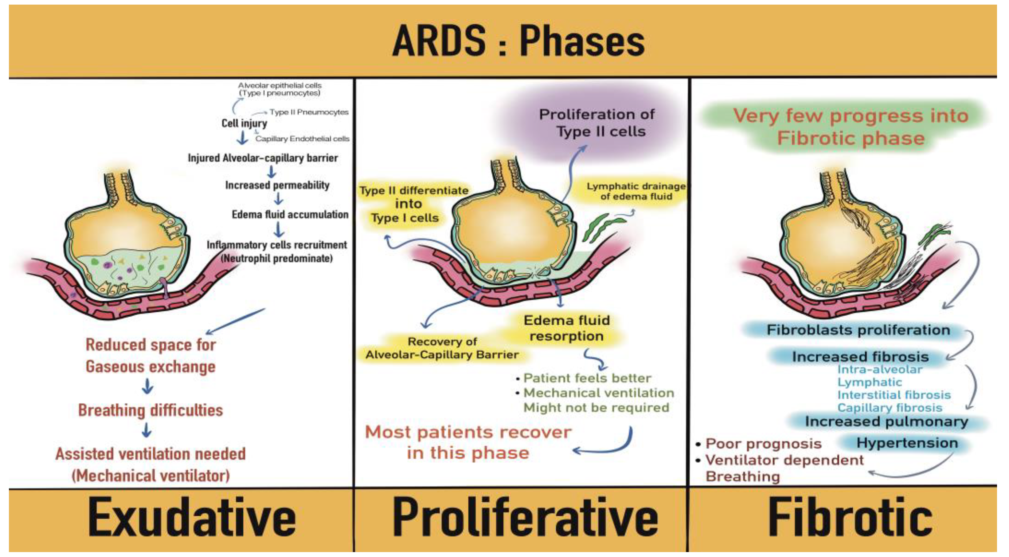 Medicina 58 01215 g001